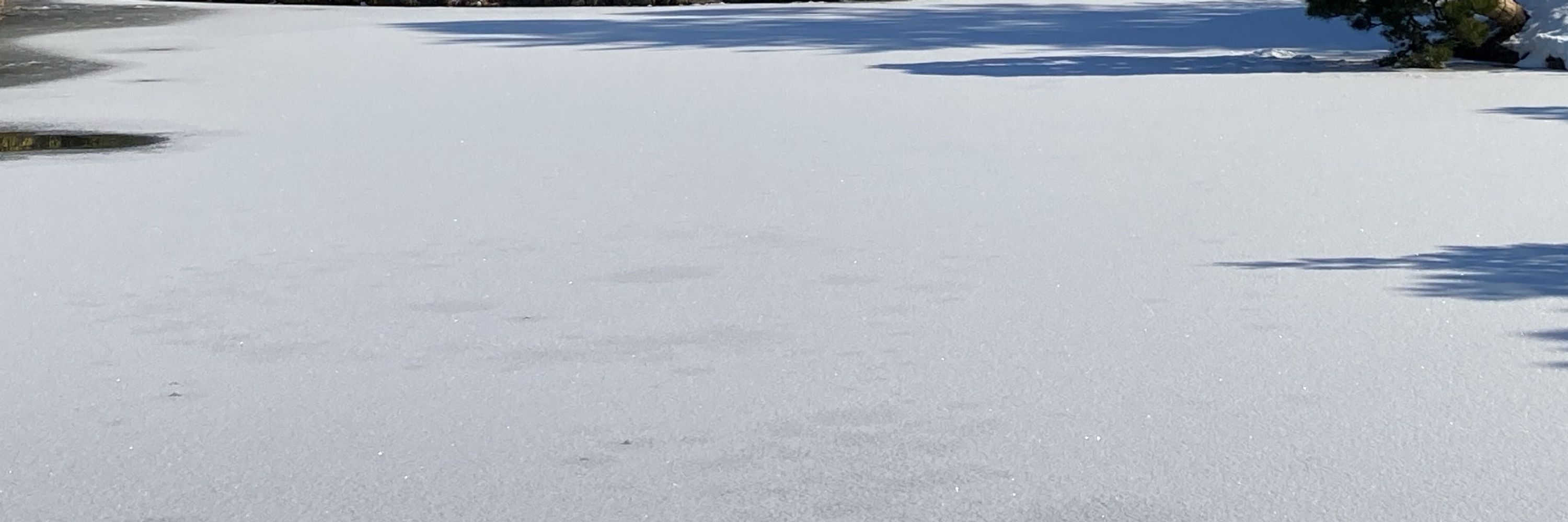 はとぽぽ