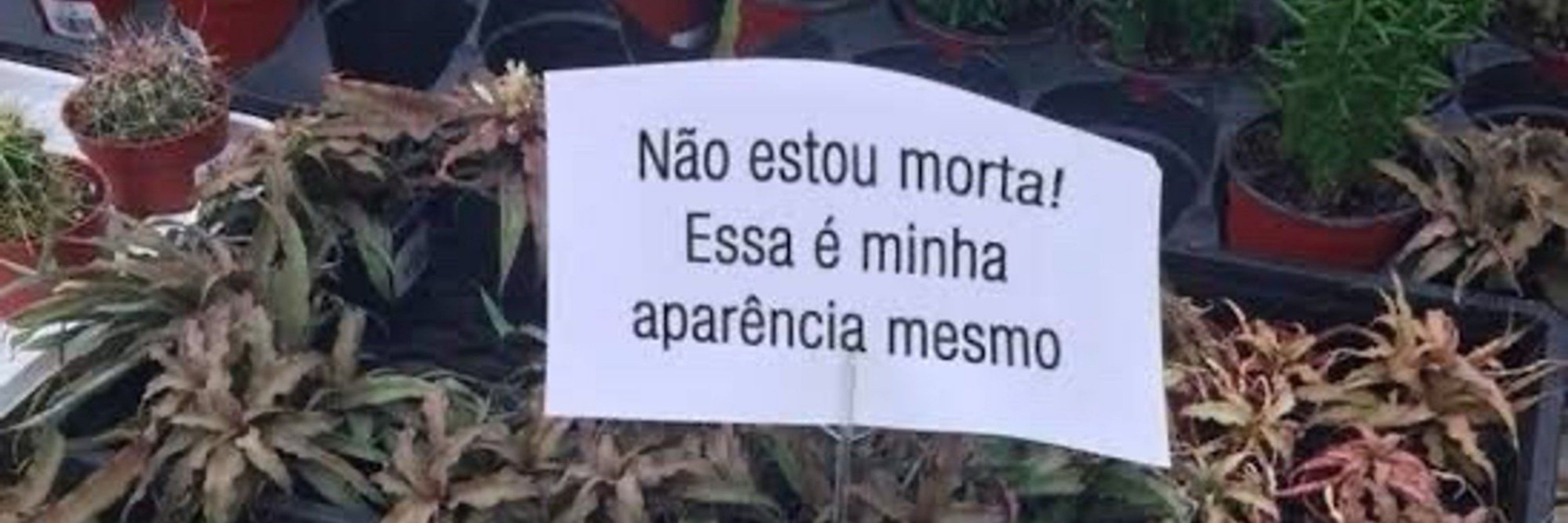 eloá