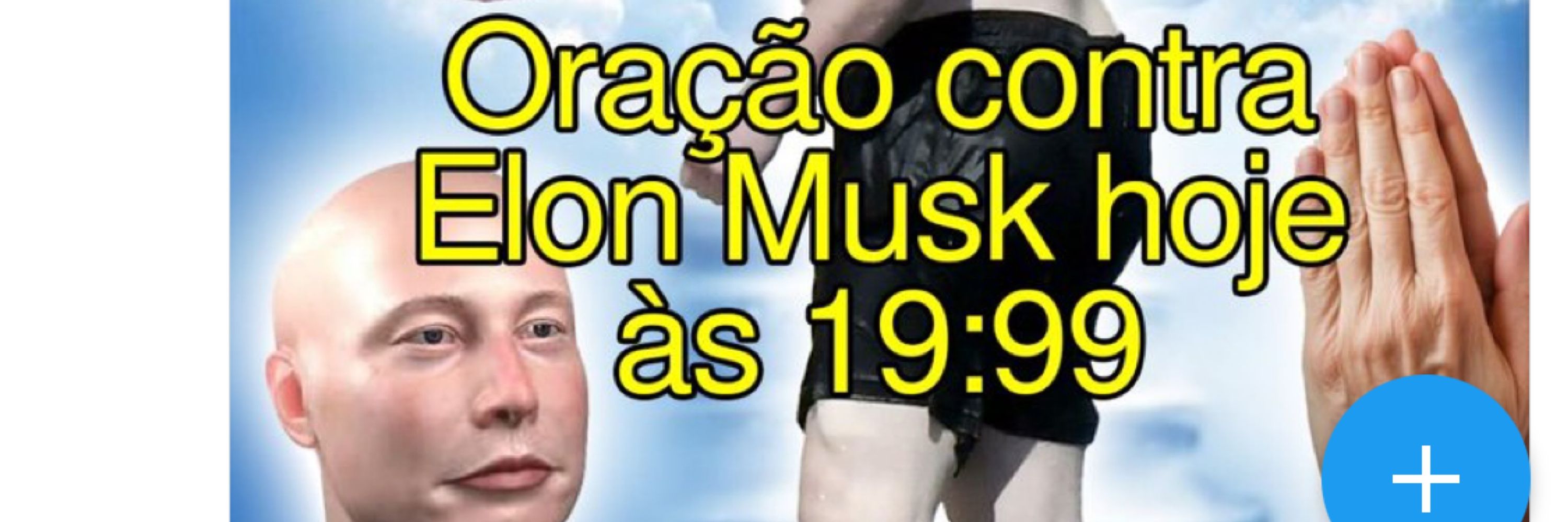 um pinto e uma laris