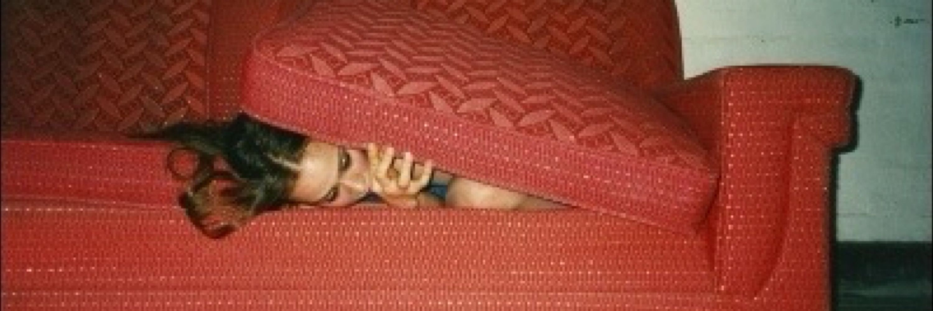 vida e obra de fiona apple