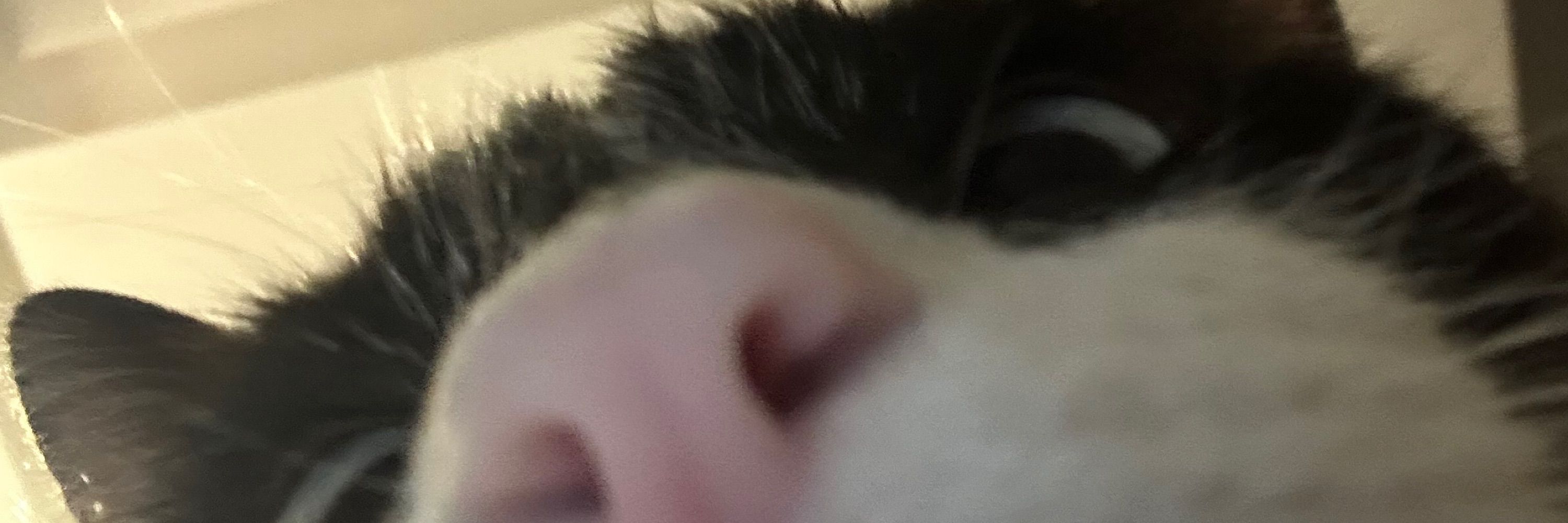 Can