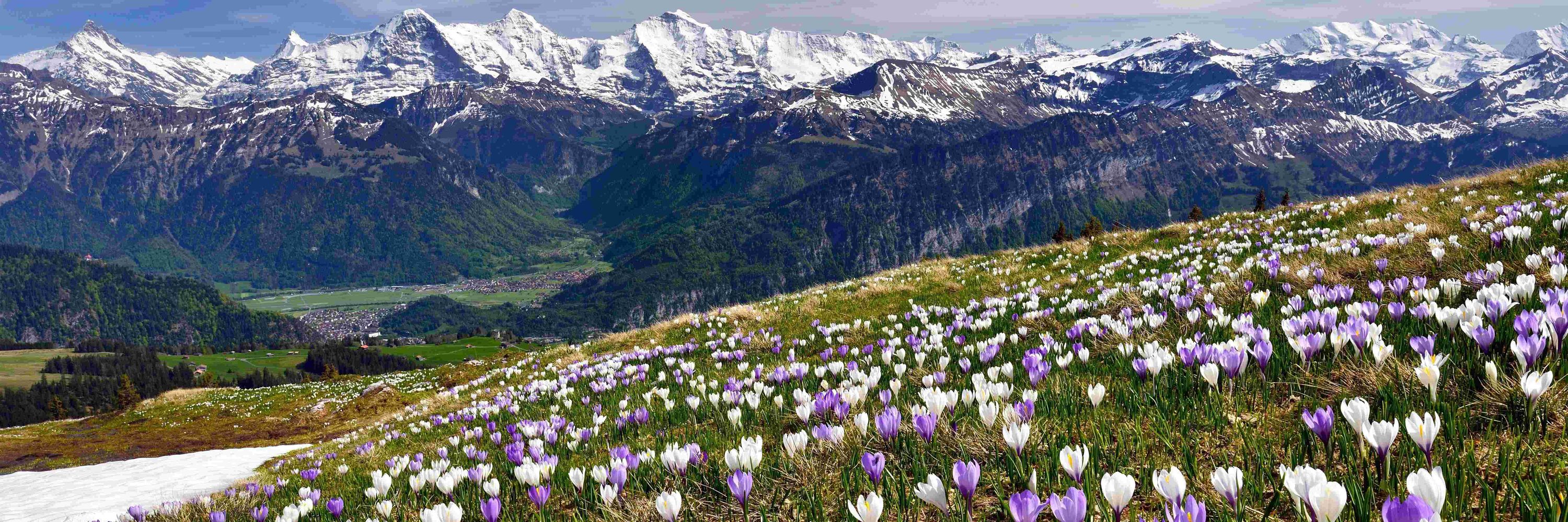 Pro Alps (vormals Alpen-Initiative)