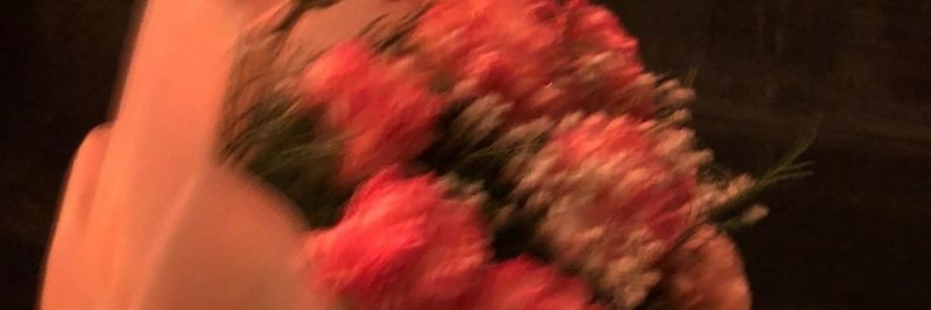 jeyi
