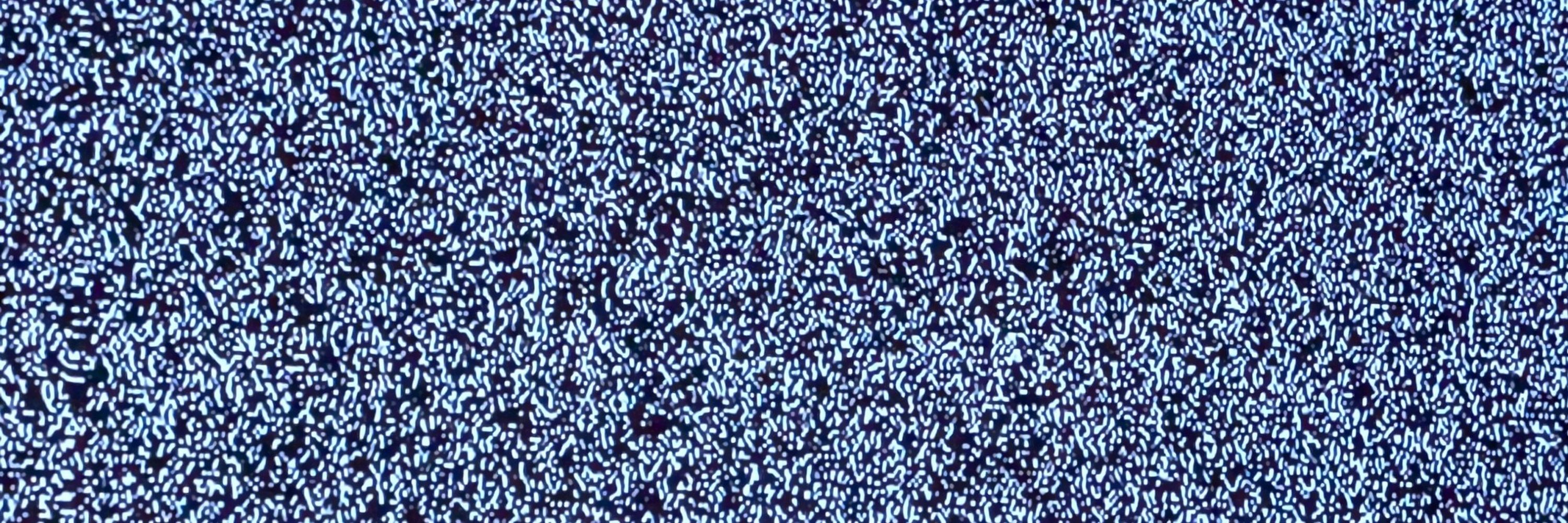 Mantissa Significand