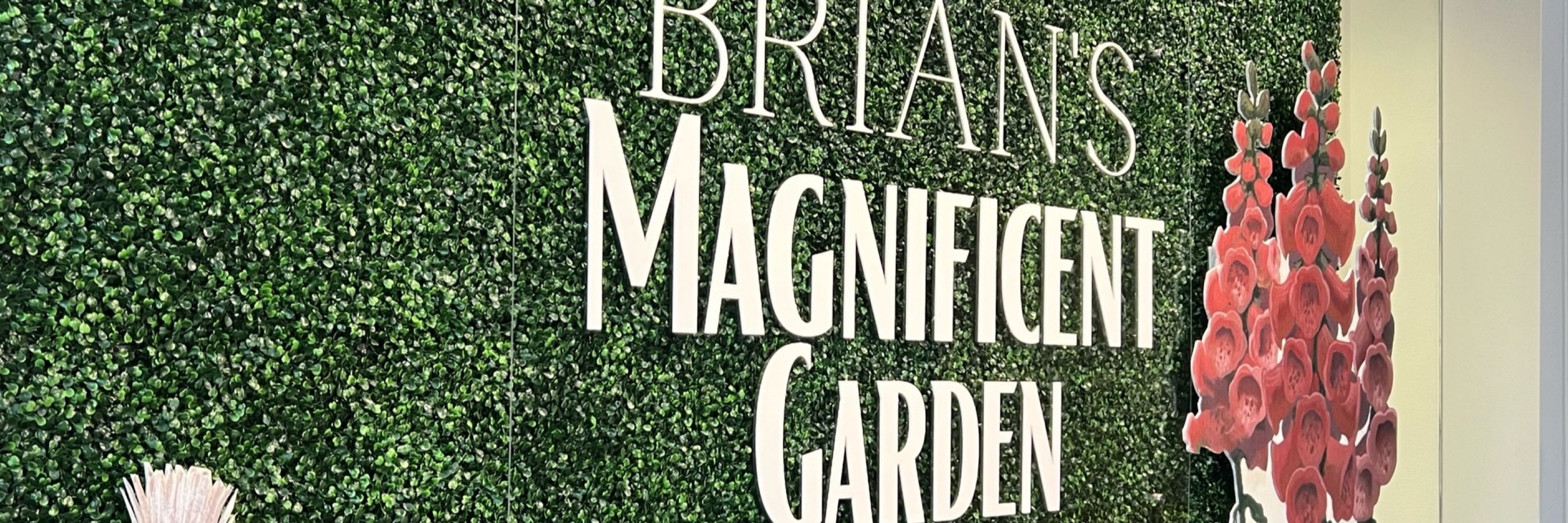 Brian Lies