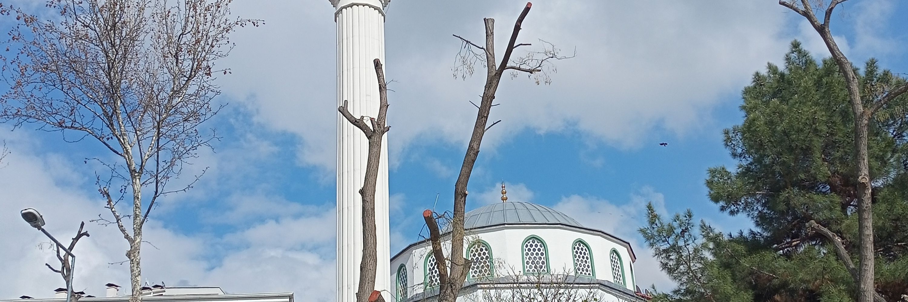 Umut Seda