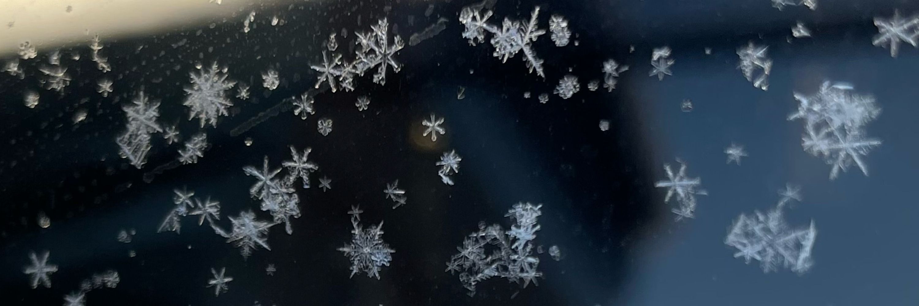 うらひ❄️