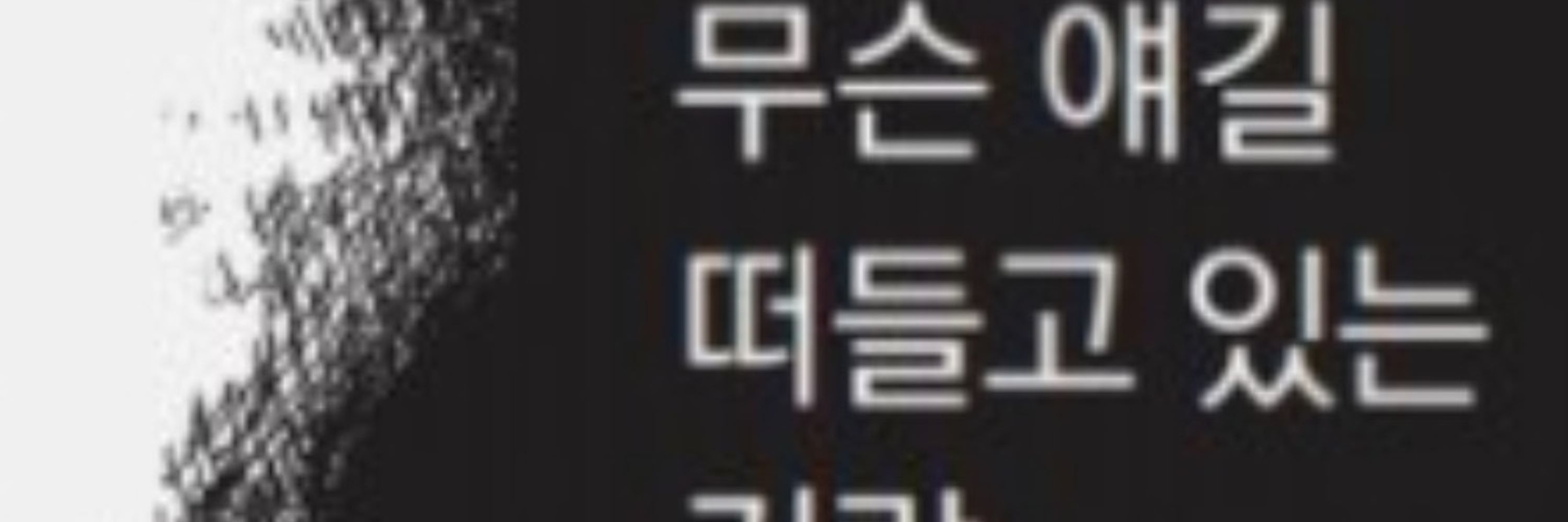 덩이줄기 삼형제