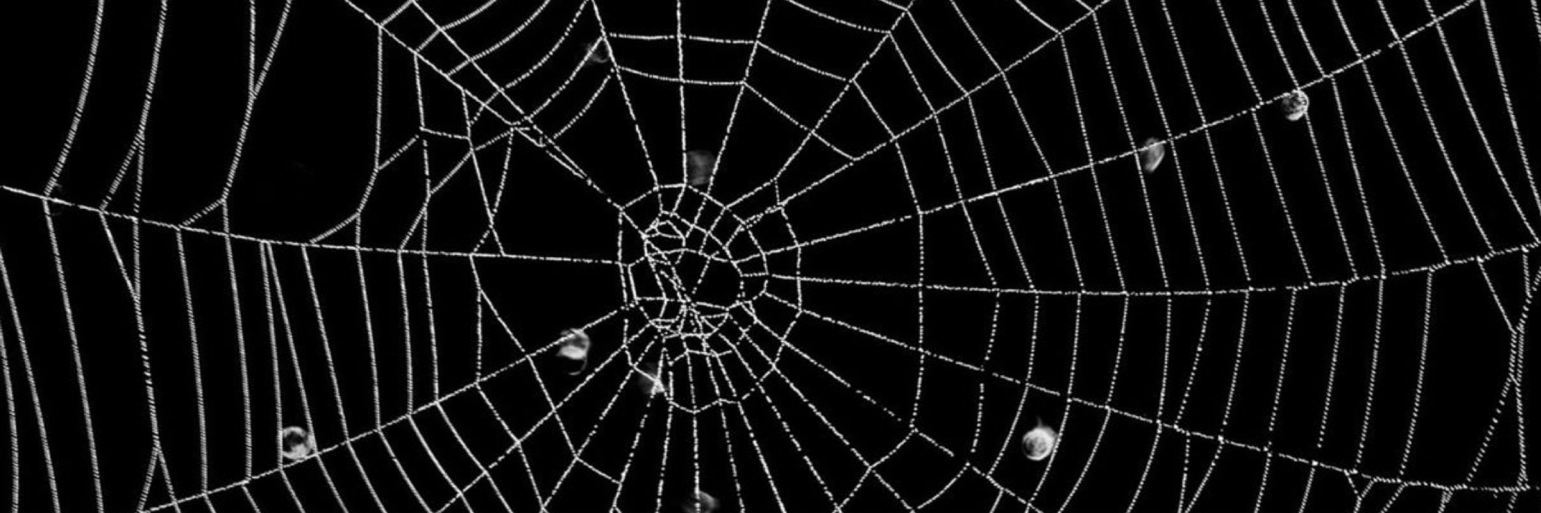🕸️Jess🕸️