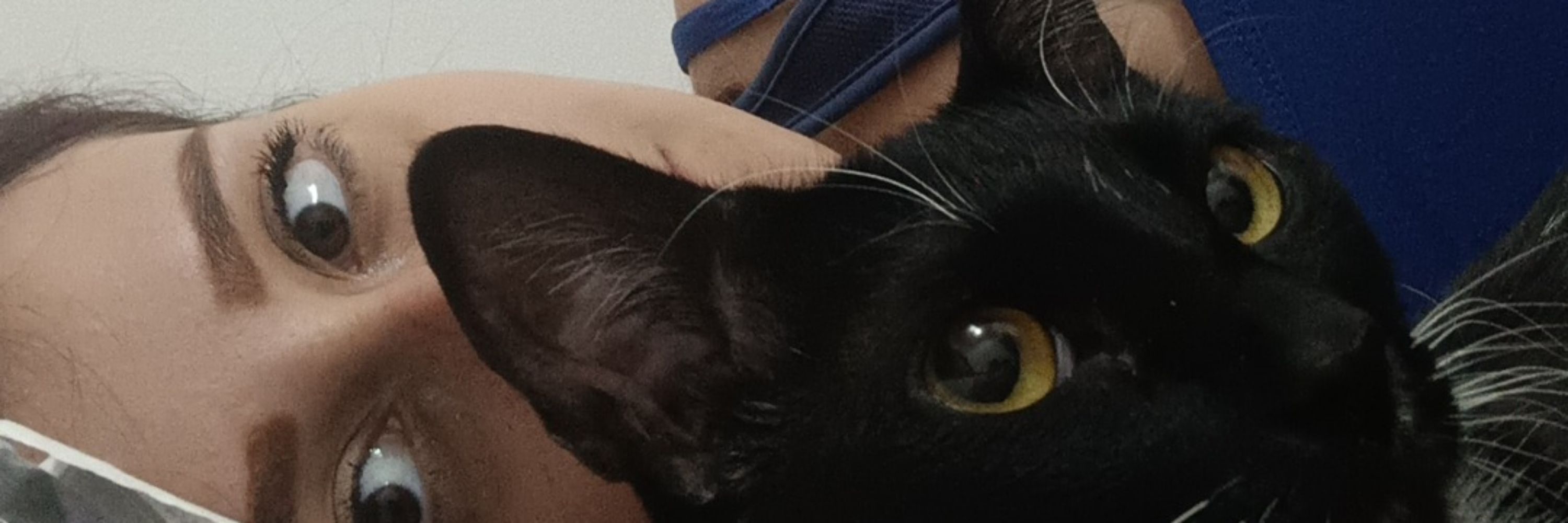 Bru🐈‍⬛