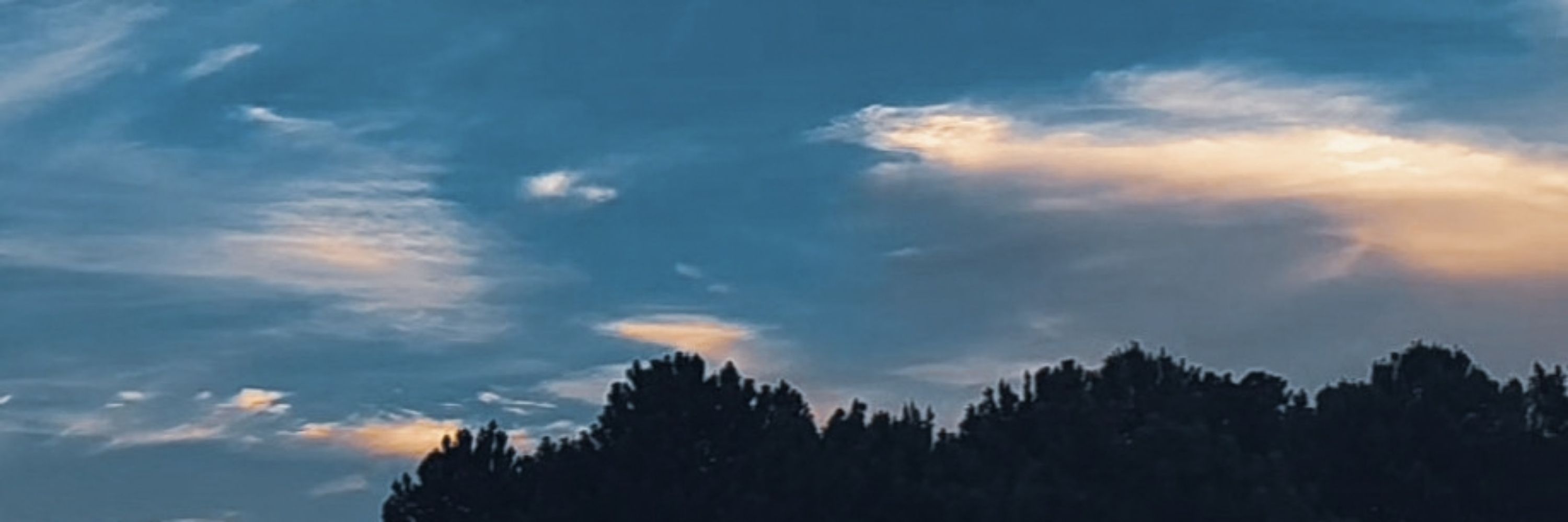 𝙻𝚎𝚘𝚗