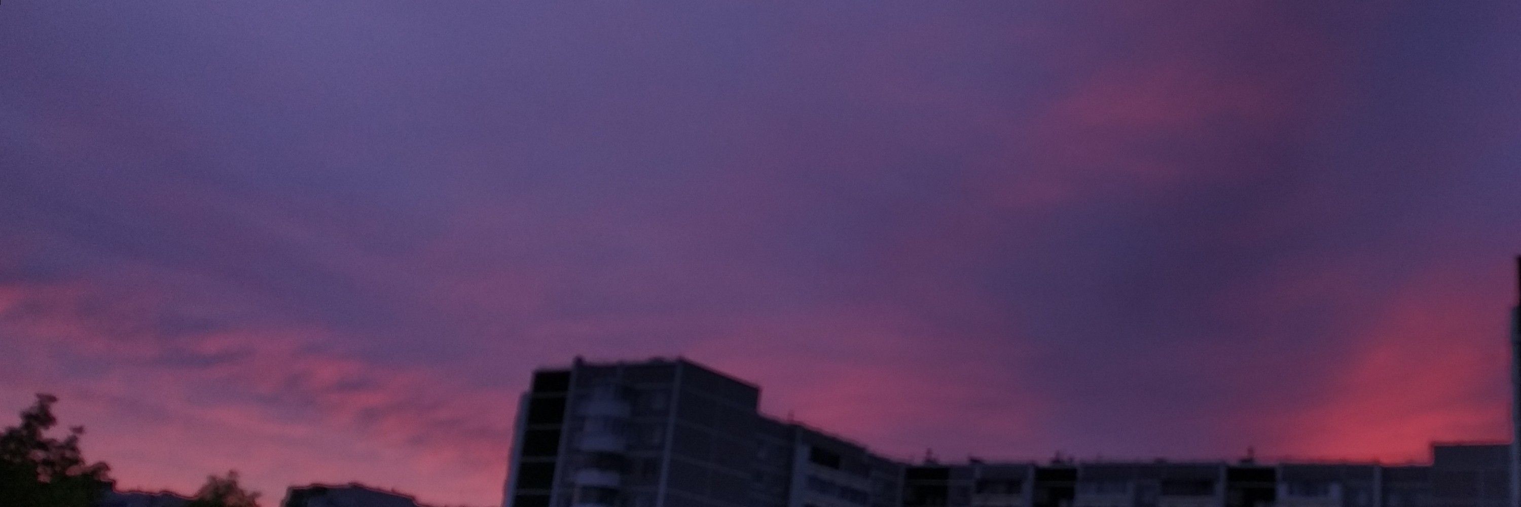Mickley🕊️
