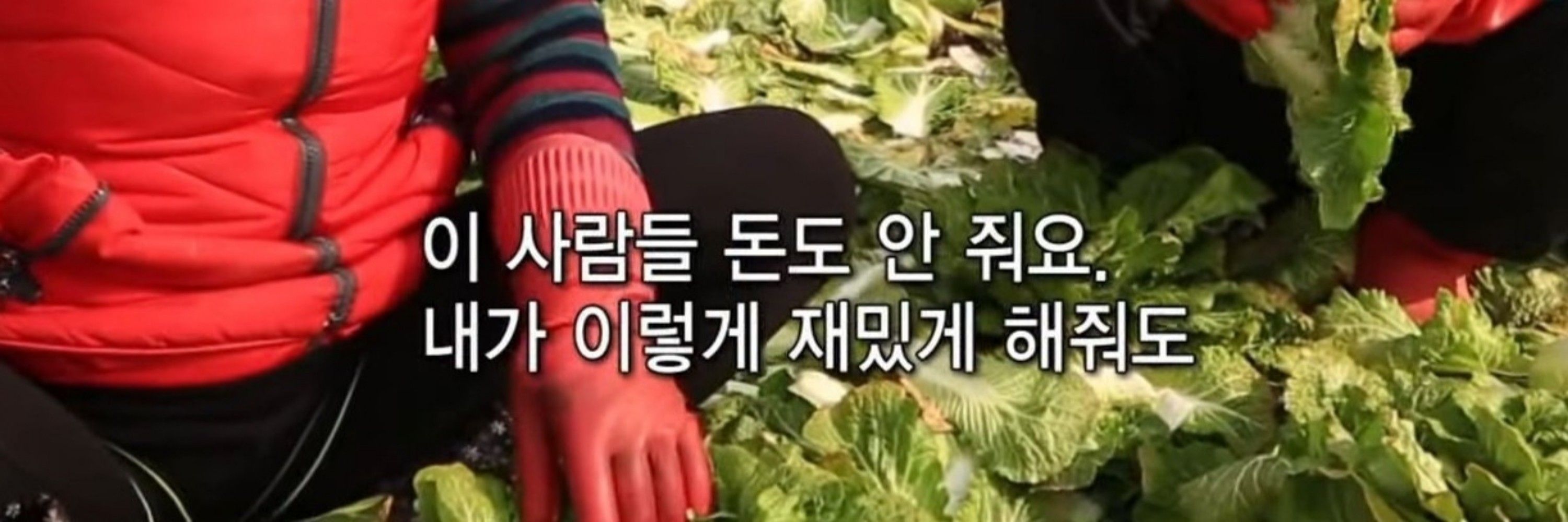 불굴의 록꼰대
