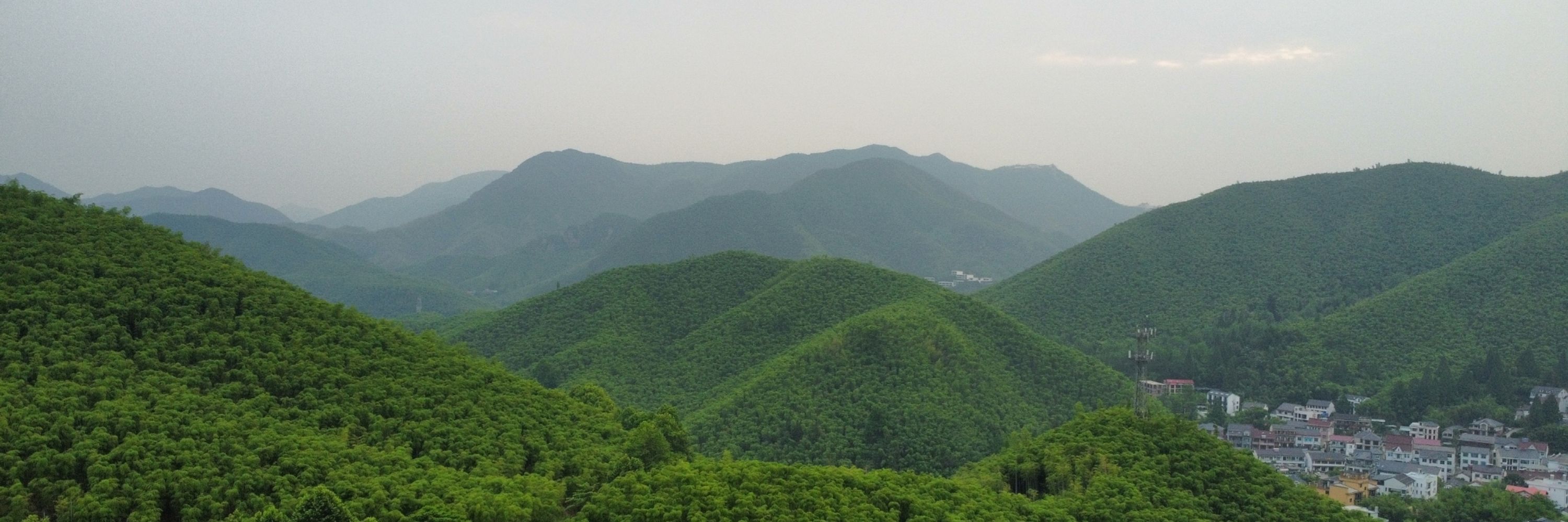 低冷旅客