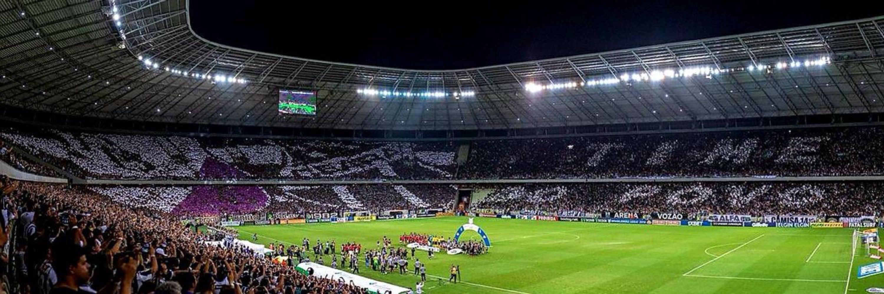 #NuncaAbandonar ᶜˢᶜ 1️⃣6️⃣