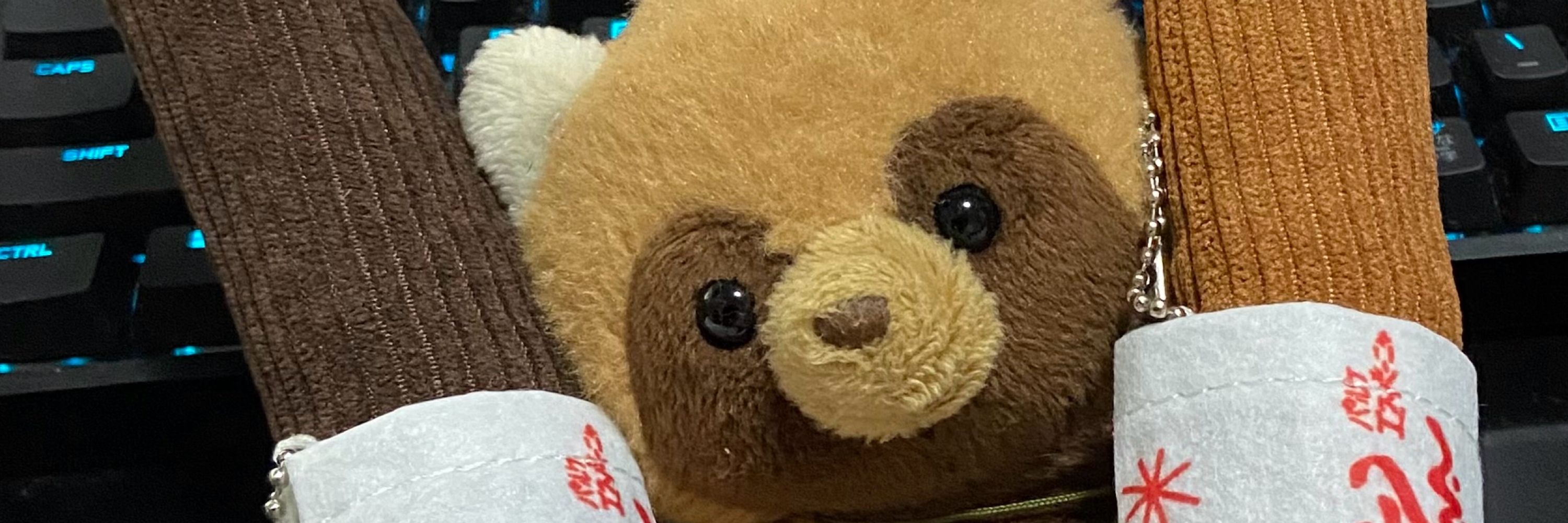 青狸