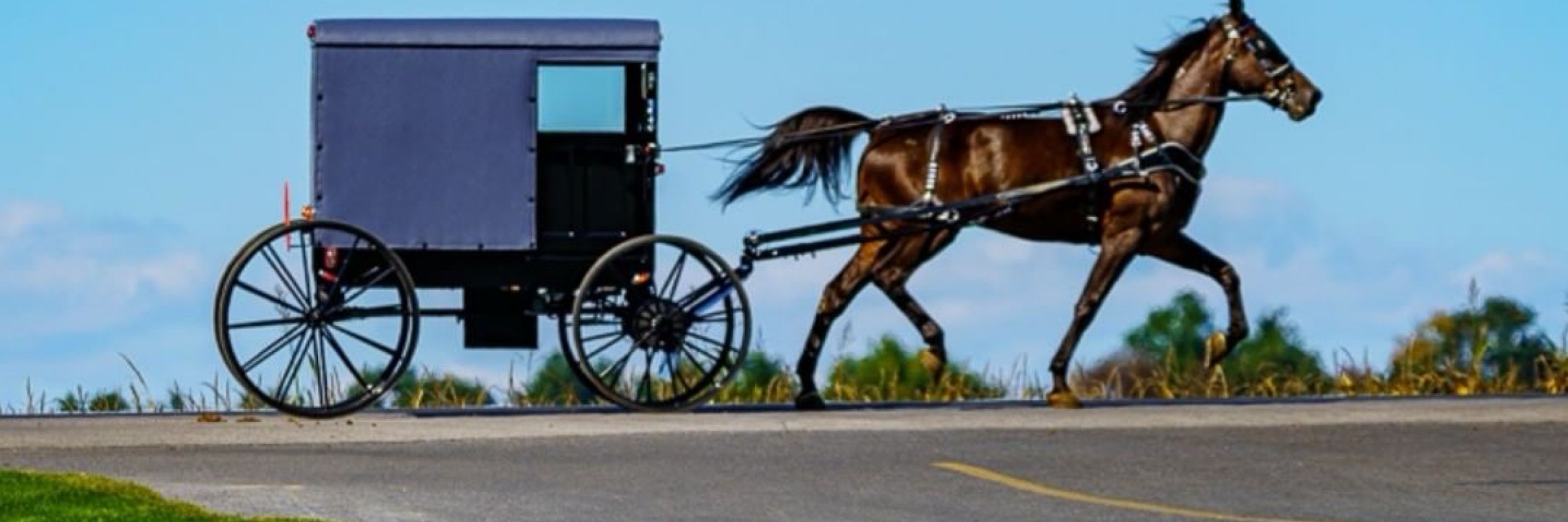 Amish Super Model