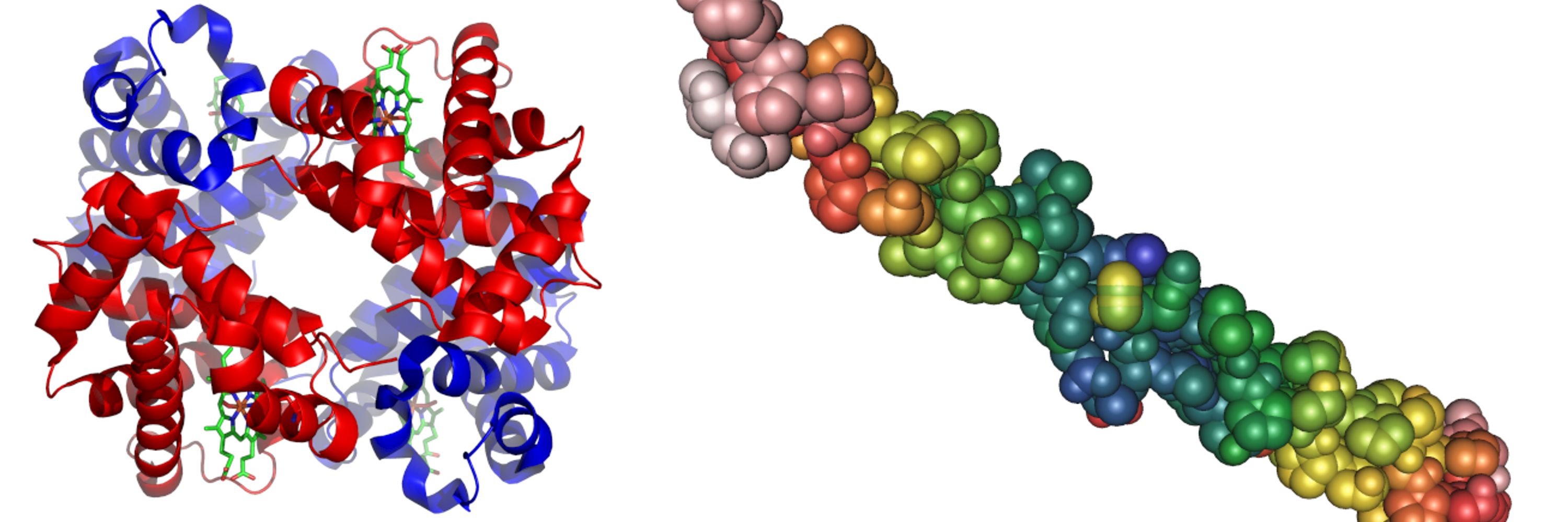 SciFood Blog