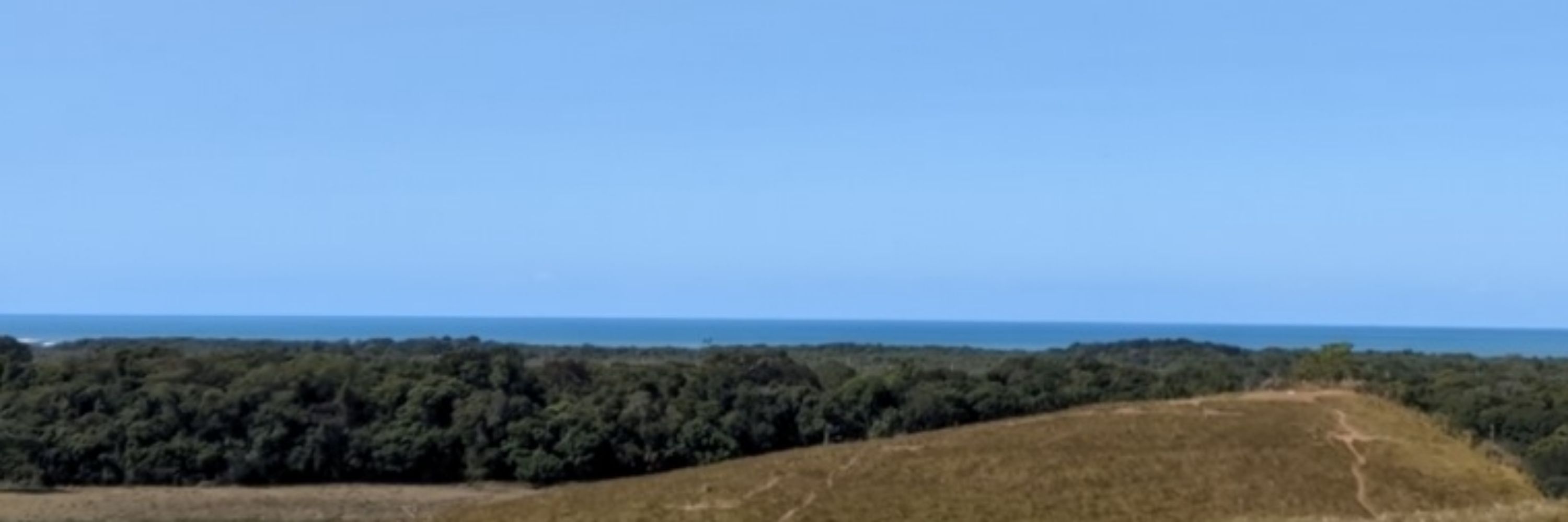alê