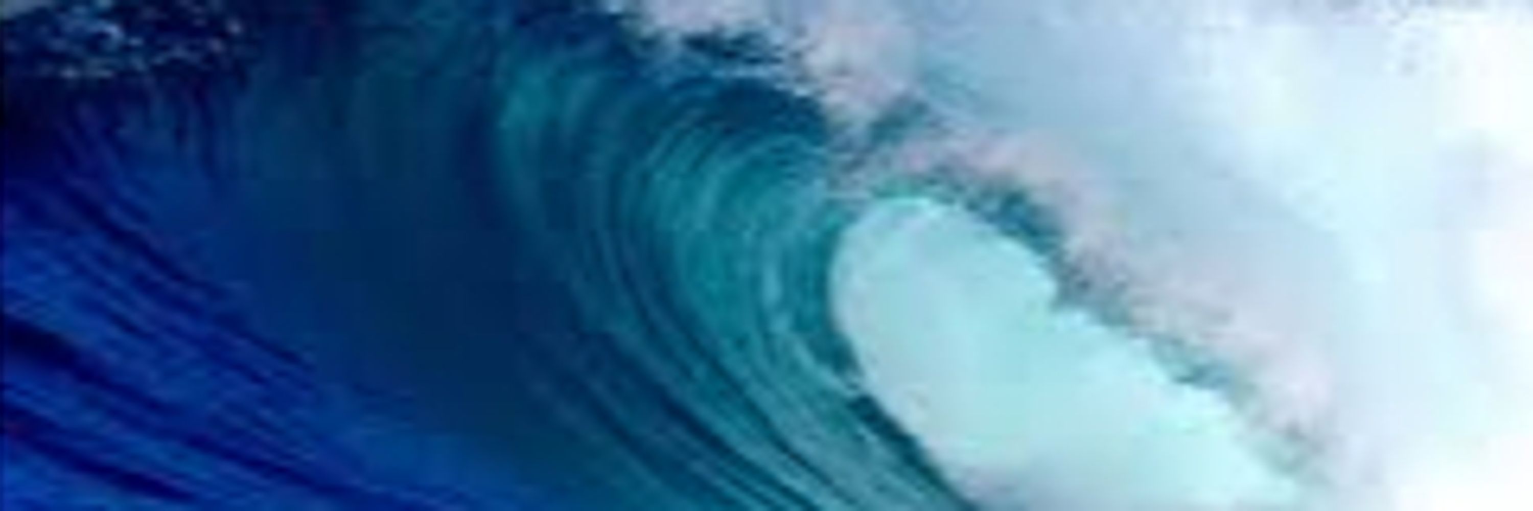 2028 Blue Wave 🌊🌊💙 🇺🇸