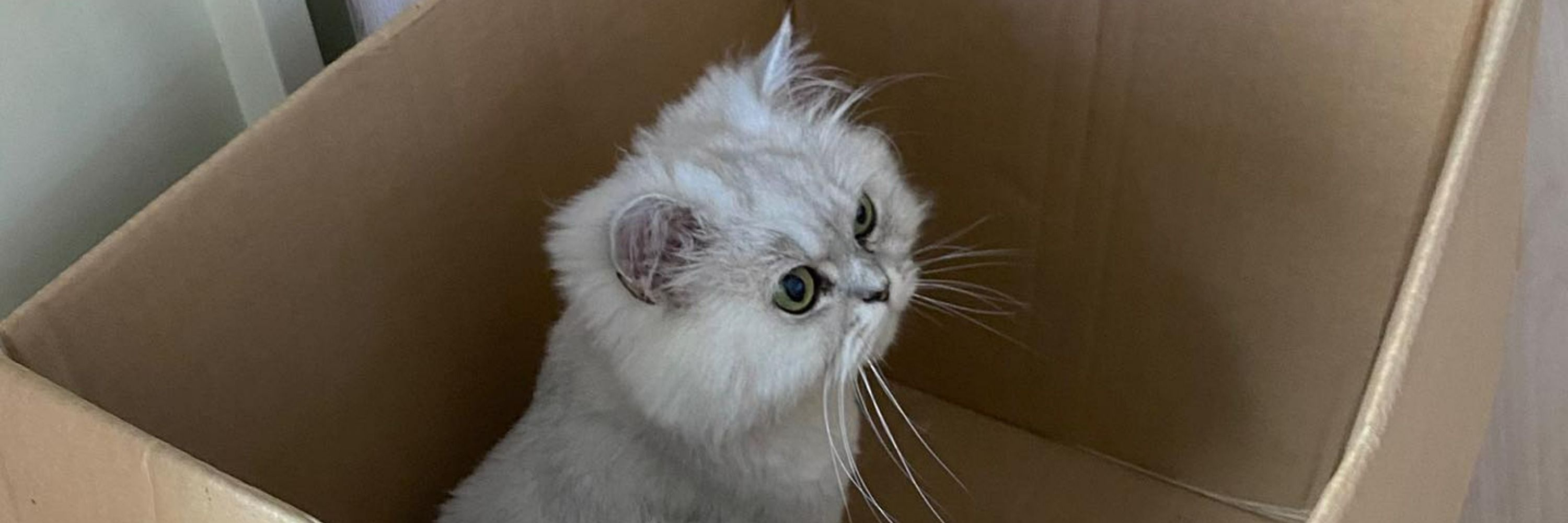min