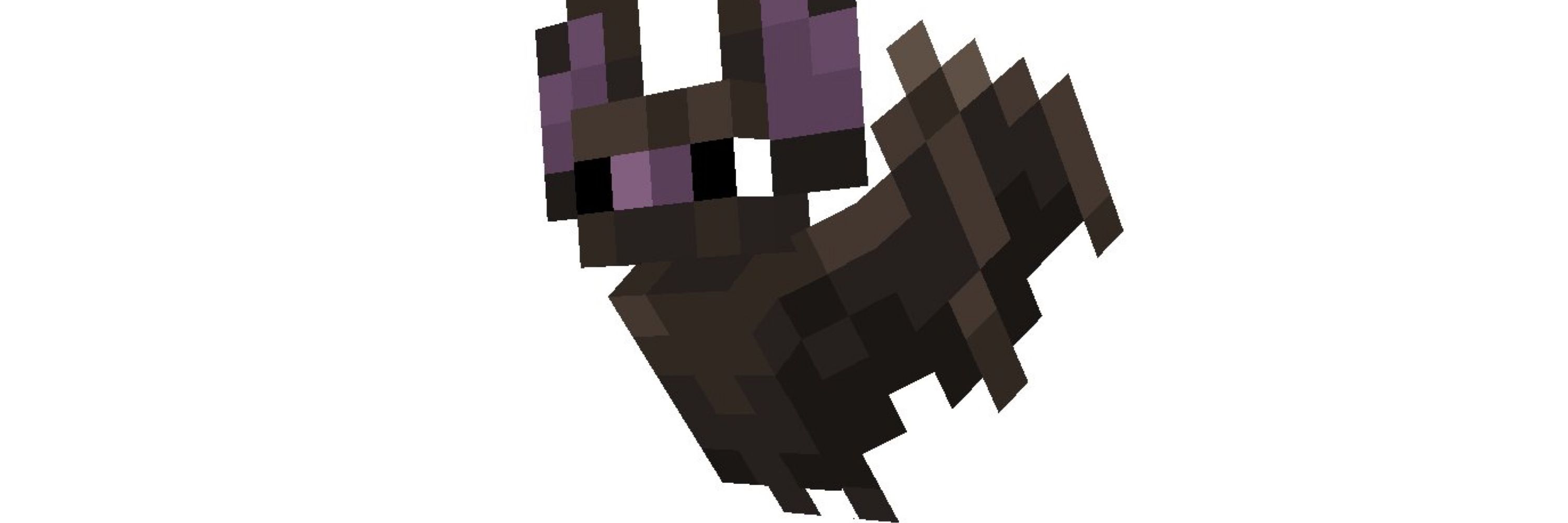 cbob31