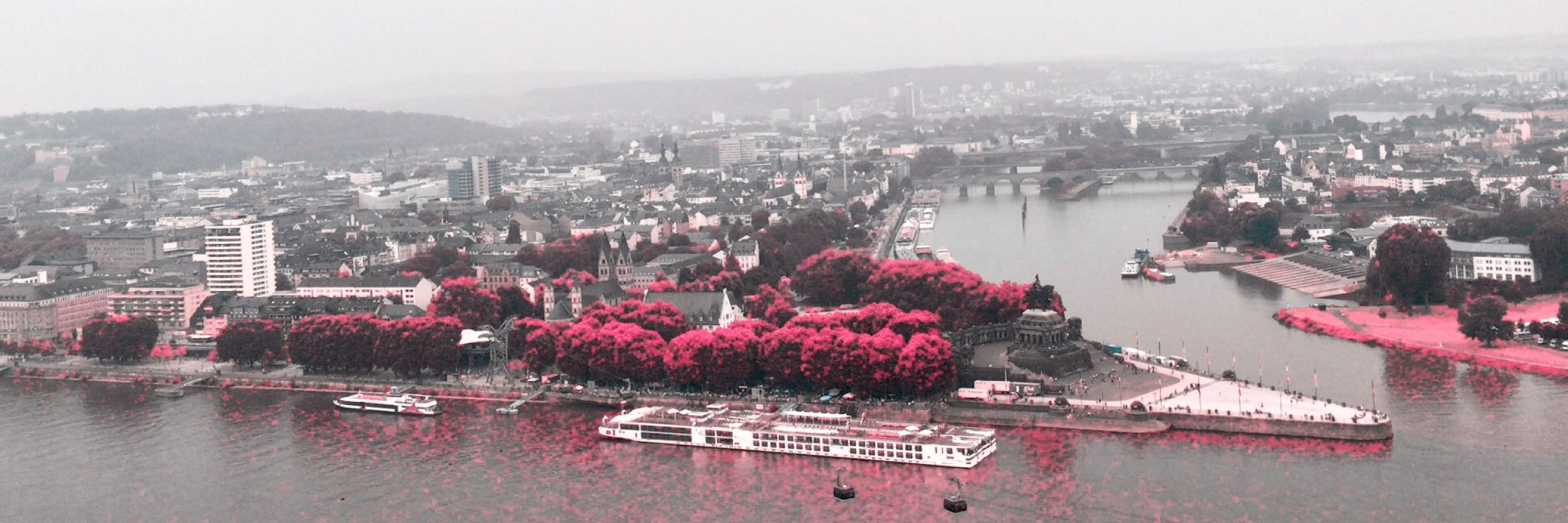Rheintalbewohnerin