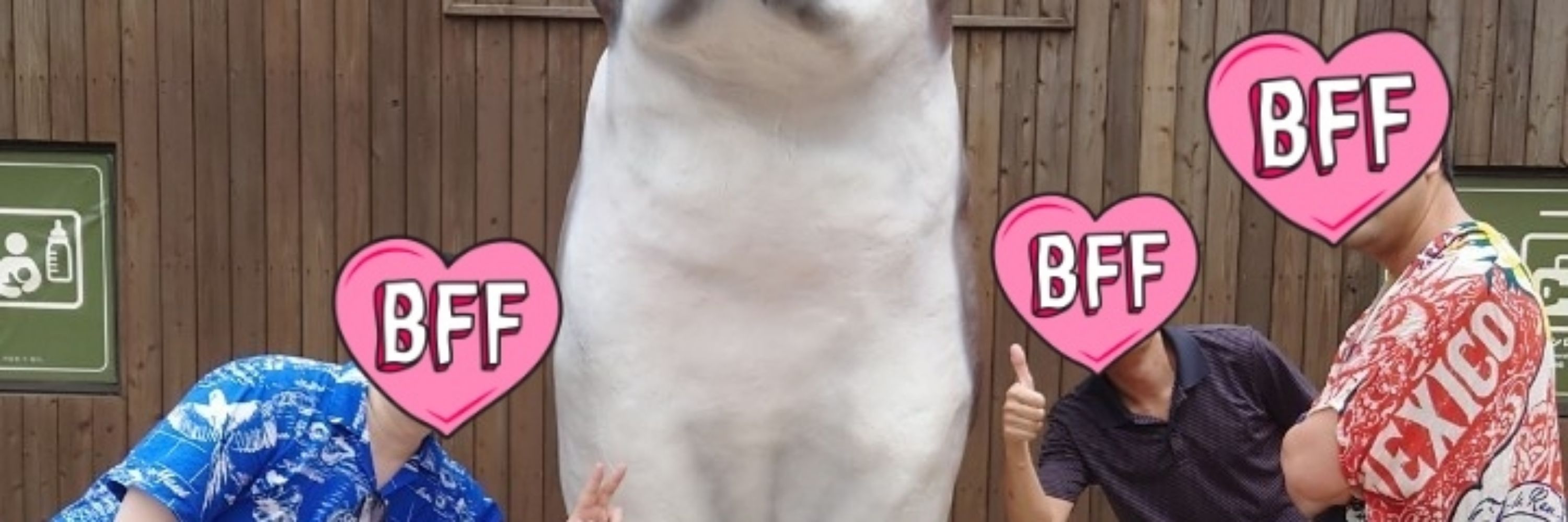 なおきち