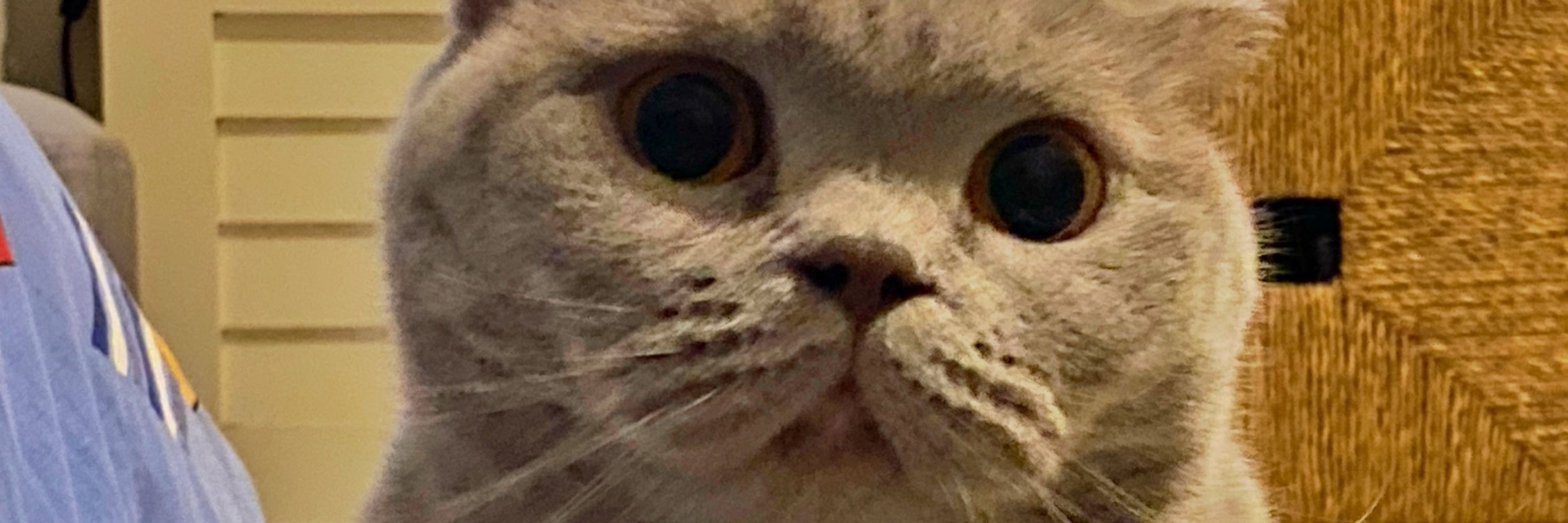 Eylül