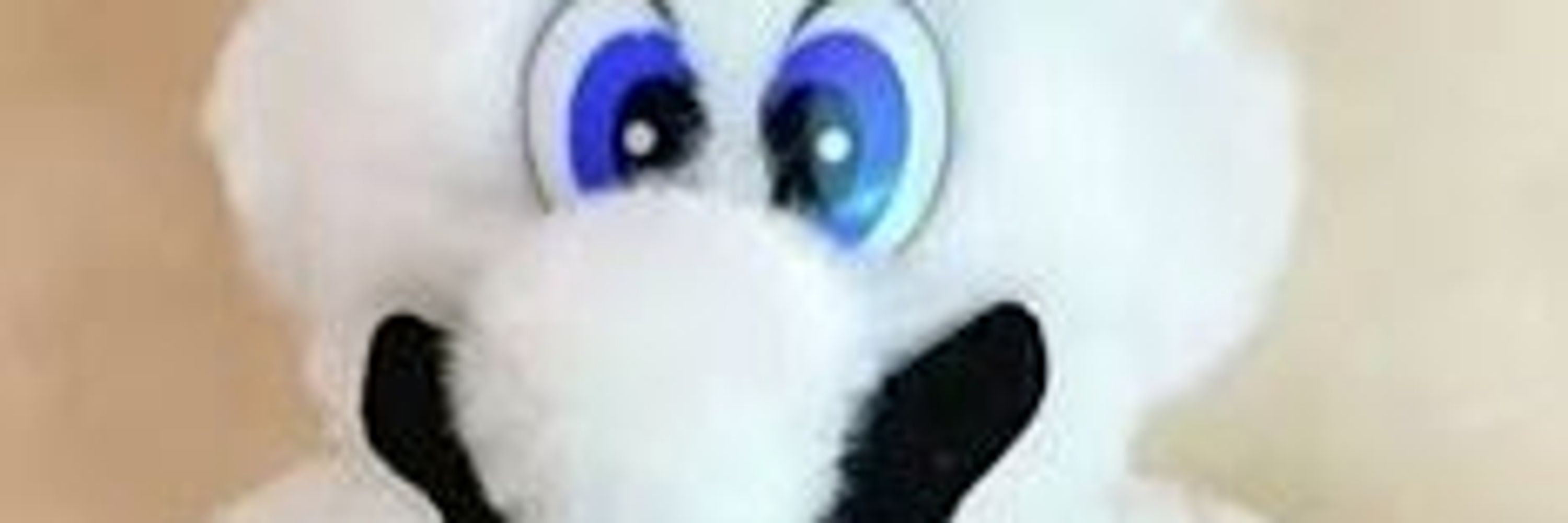 Bamb