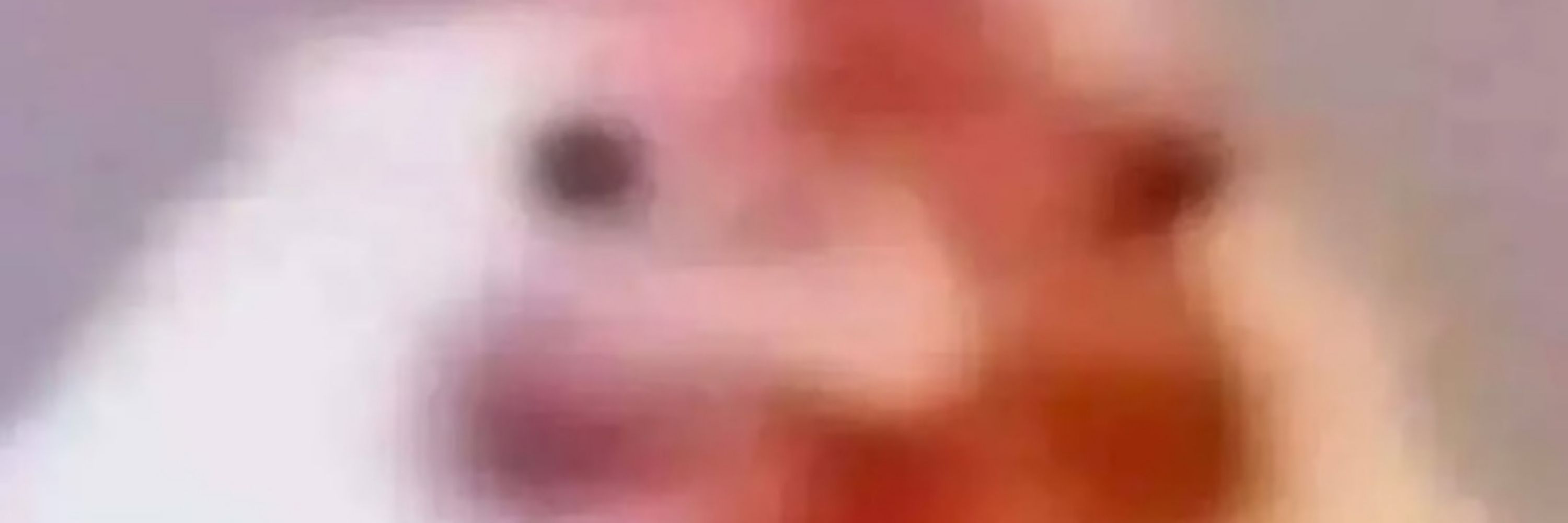 🪴
