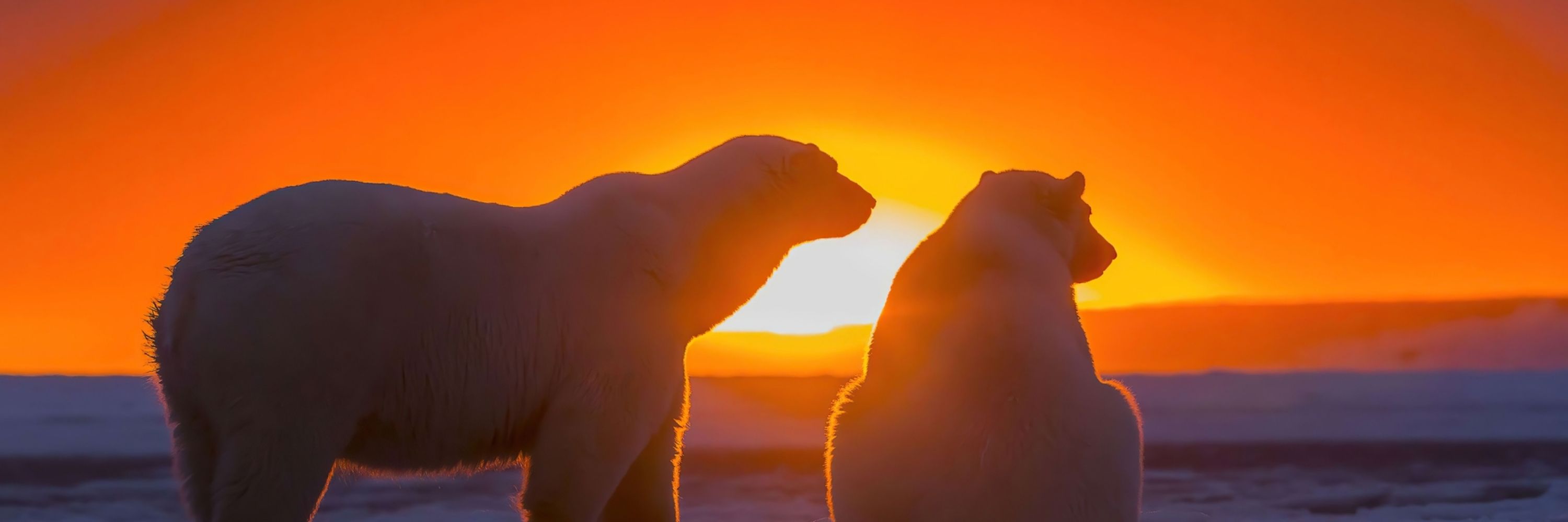 Polarsunset