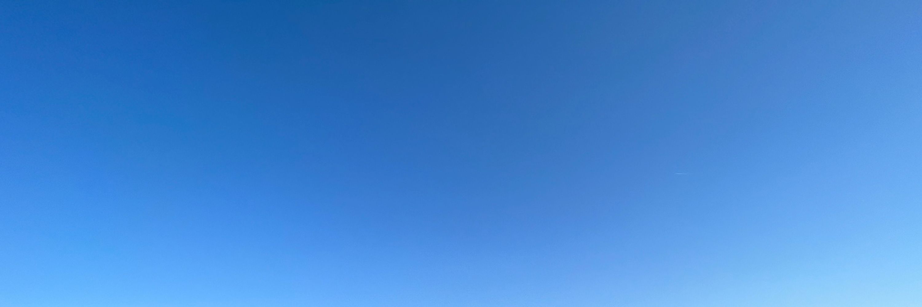とまと。