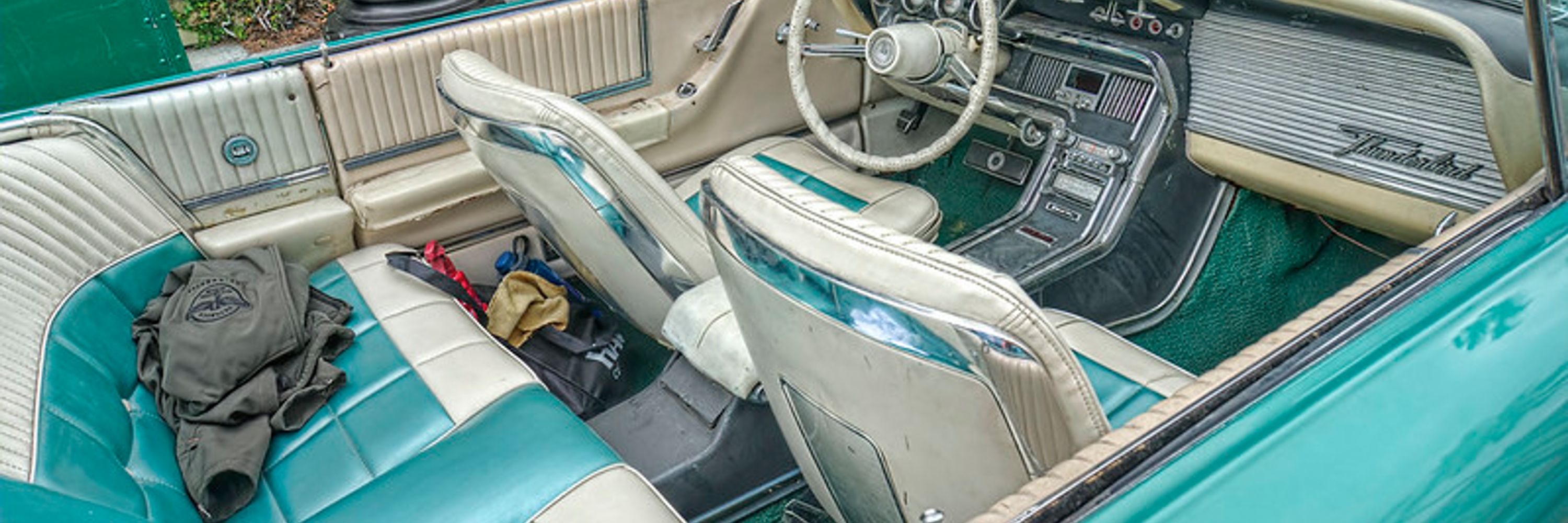 Louise's Thunderbird