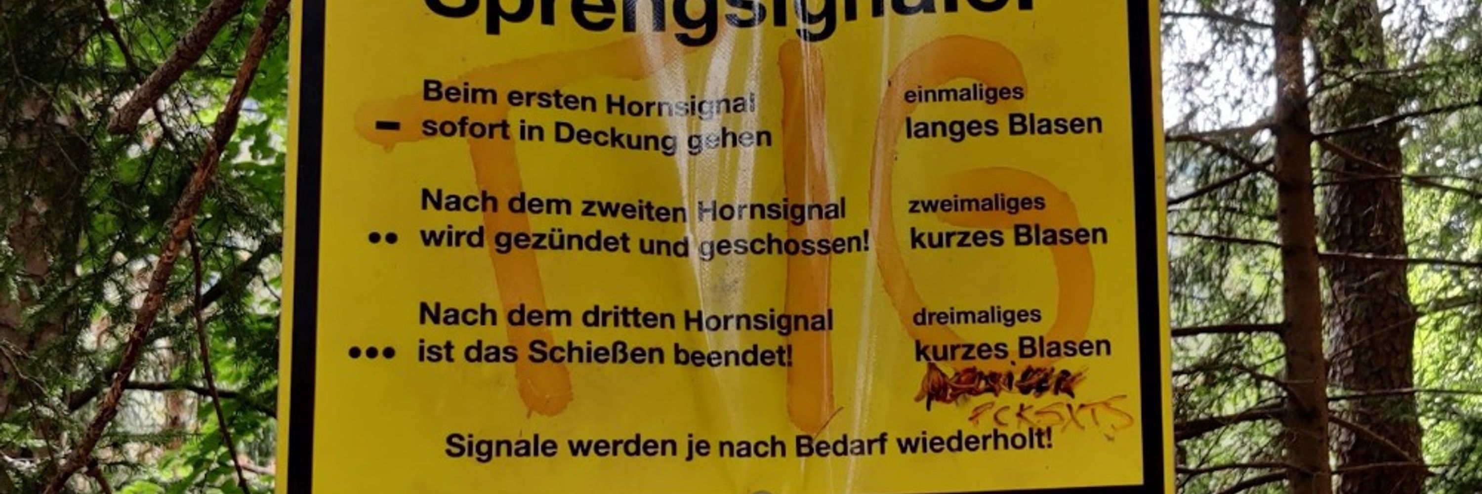 Ahlecksander