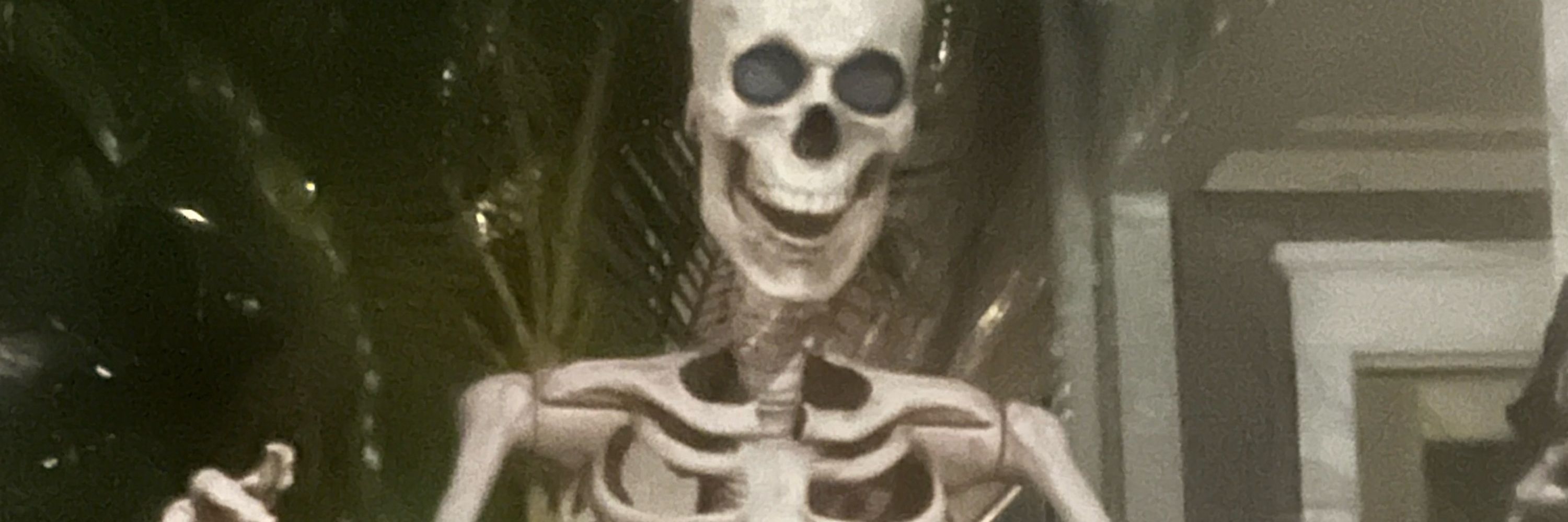 Lowkafungi