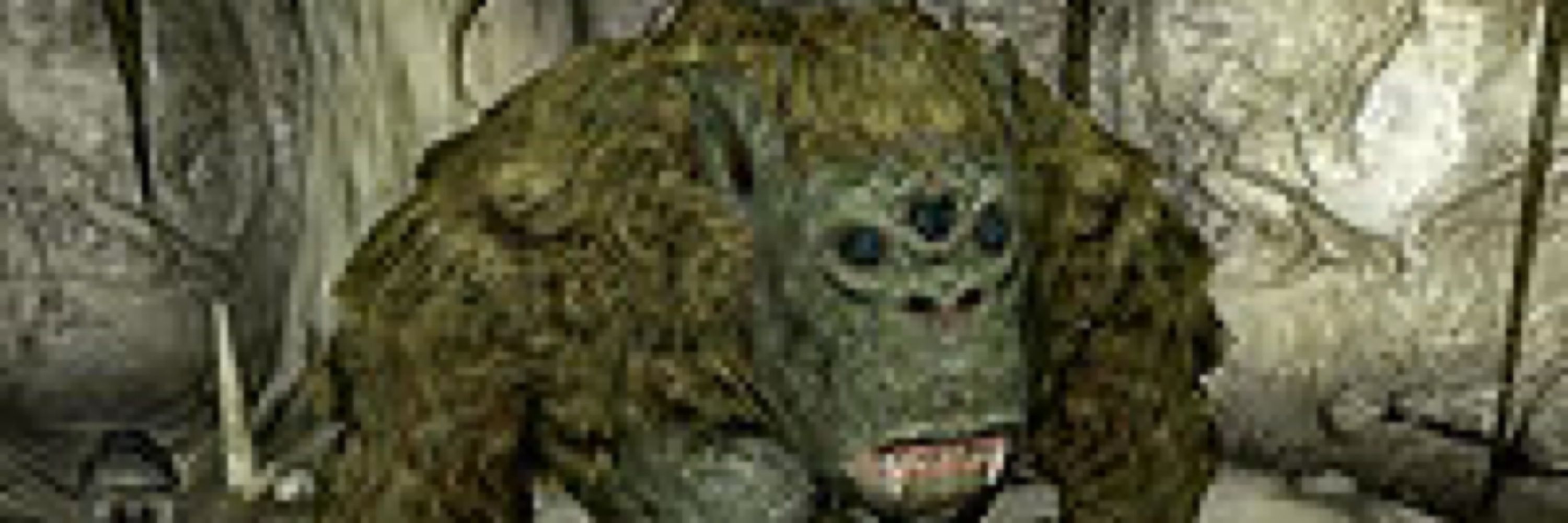 Ceph