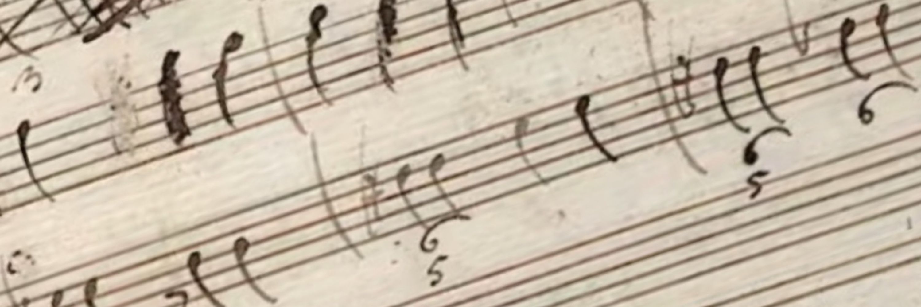 Johann 🎼