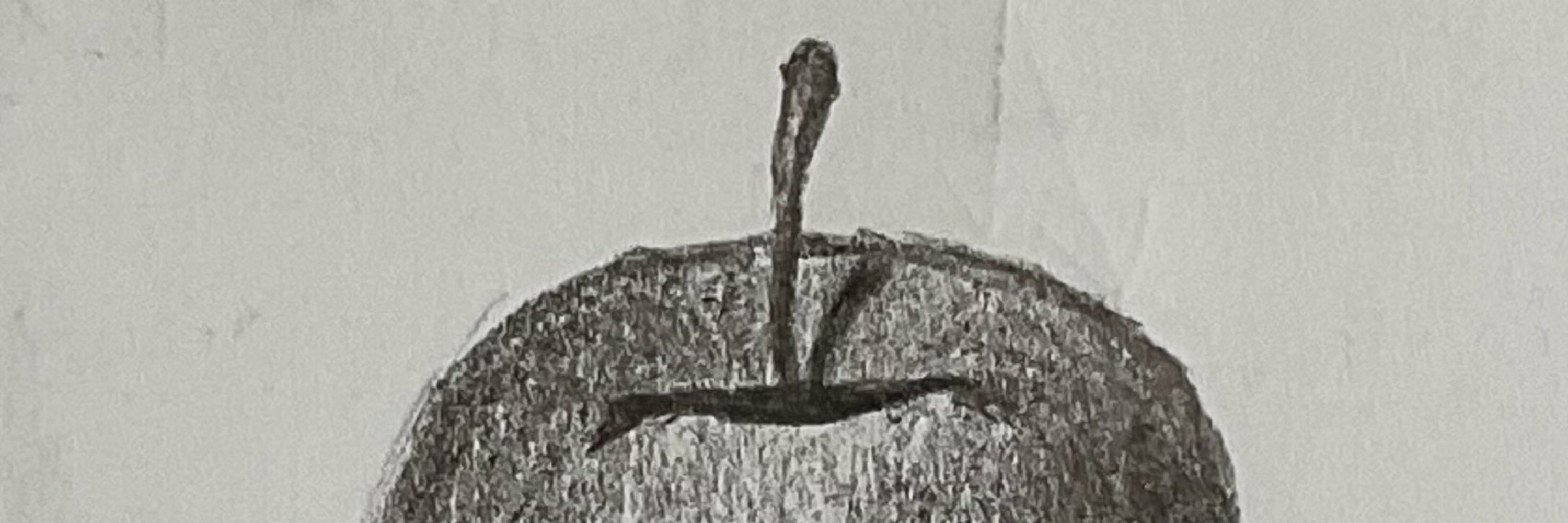 鯊魚