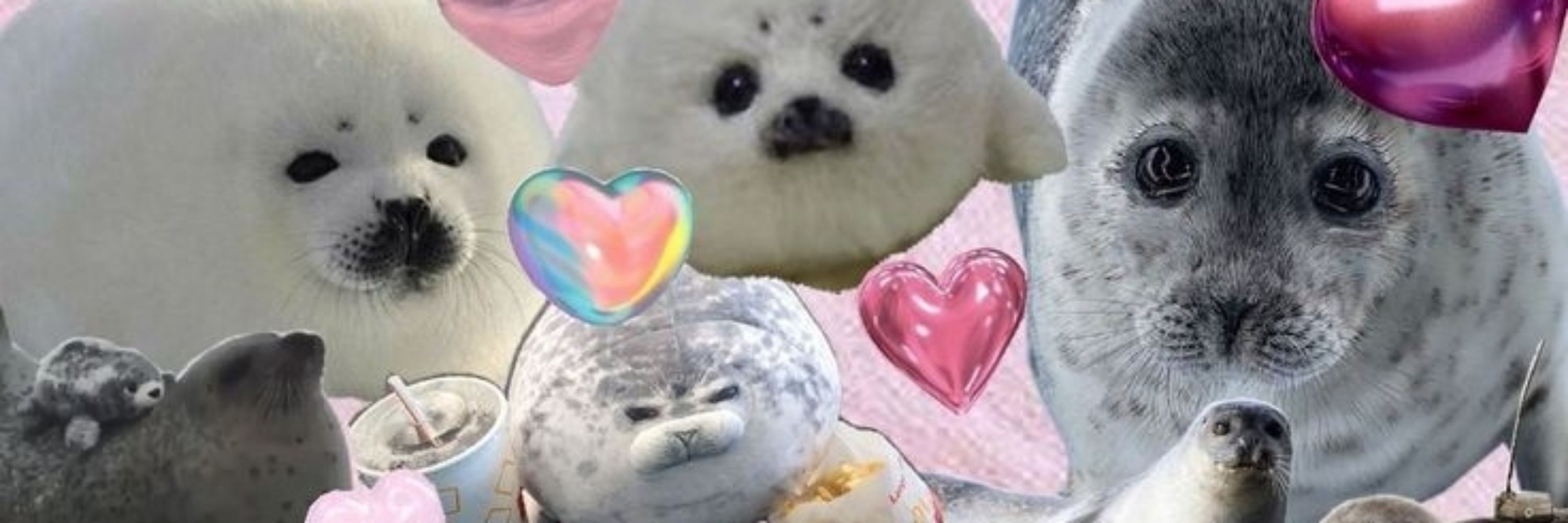 A really seally bean :3