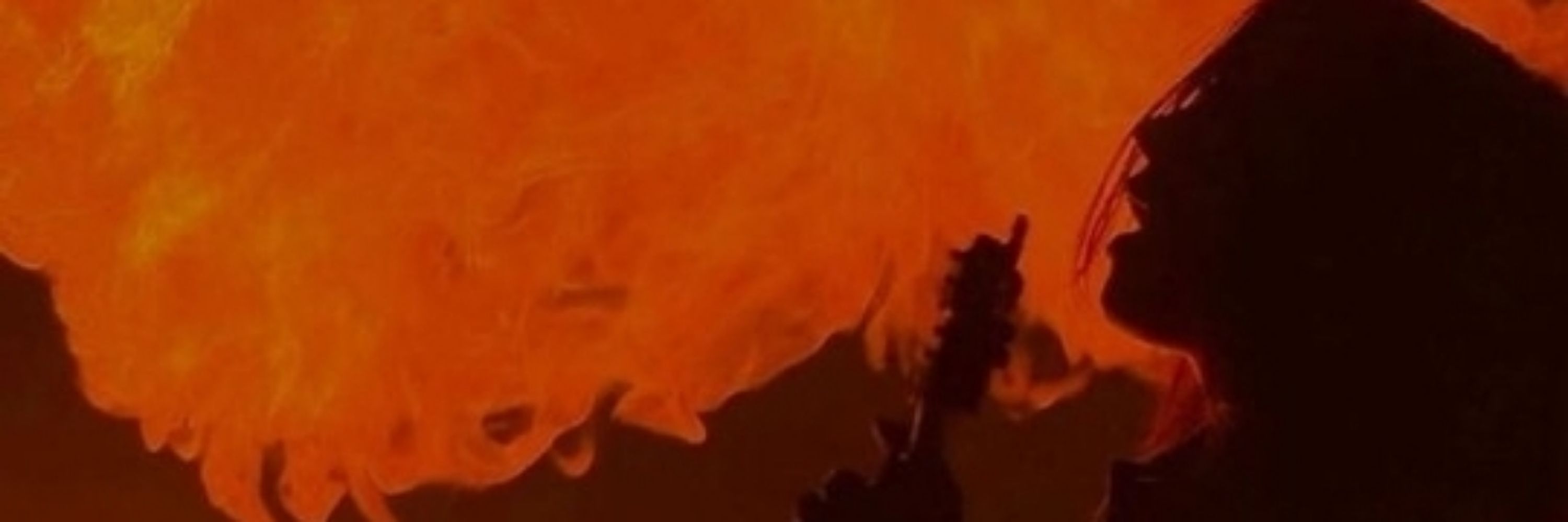 demoniacachorra
