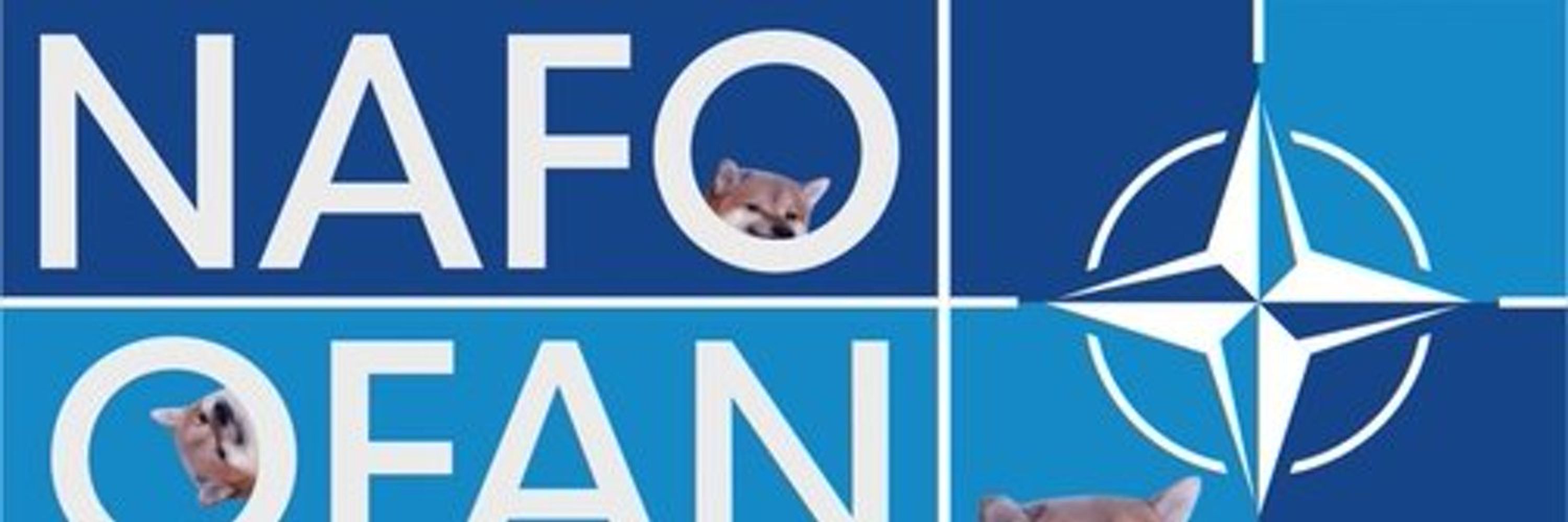 #_OVB, the #NAFO #Fella @_OVB @twitter.com