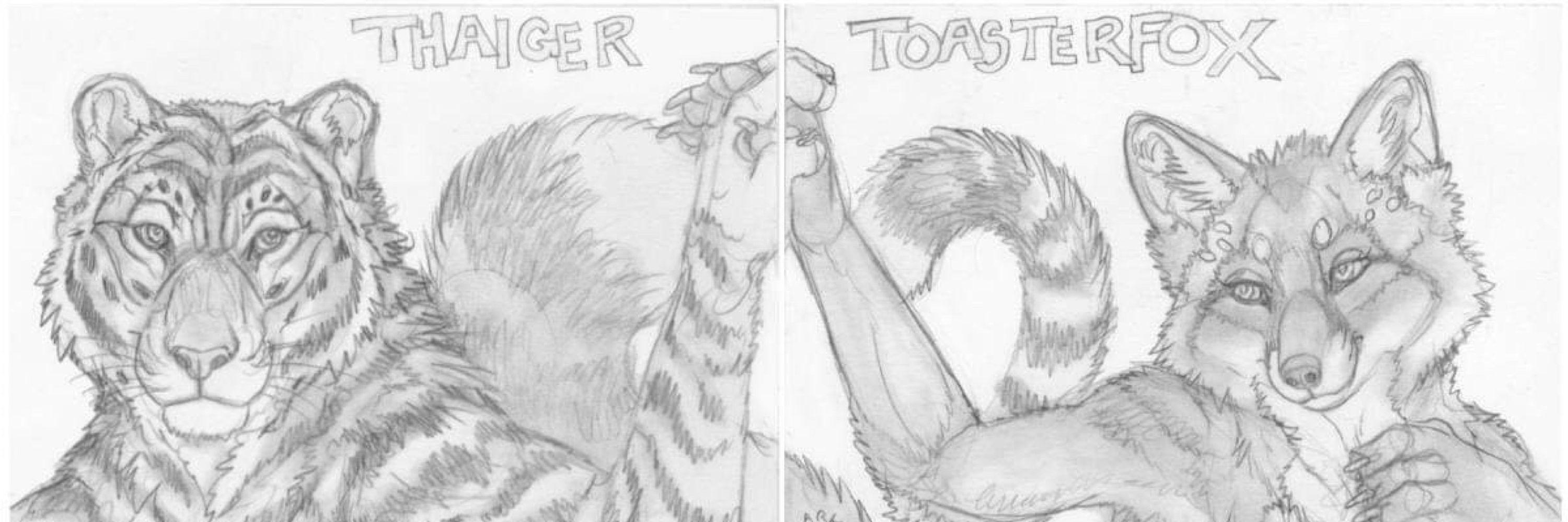 🍞Toasterfox 🦊
