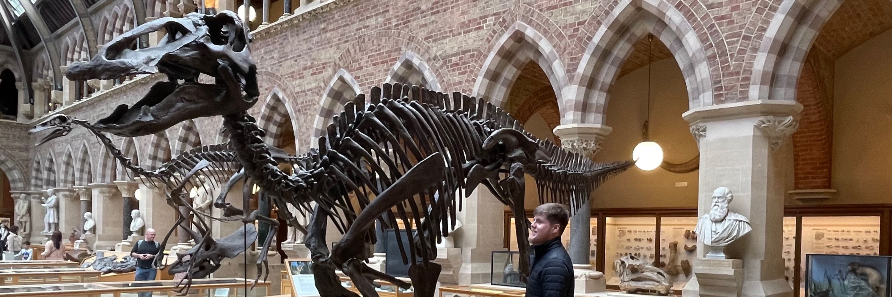 That Dino Guy
