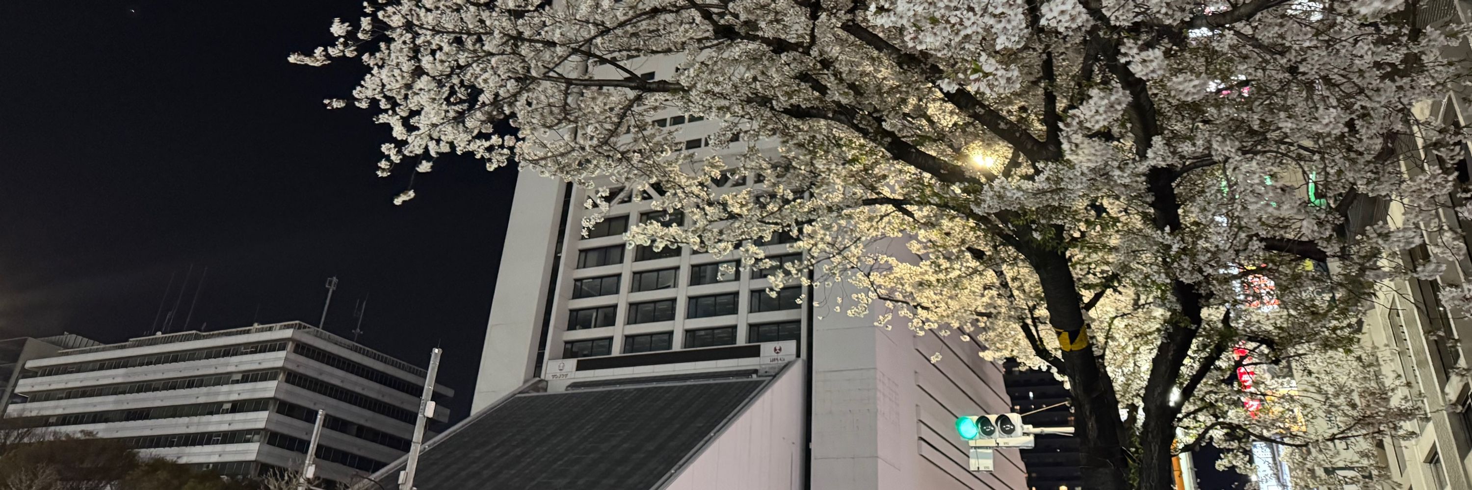 Kaoruko_S