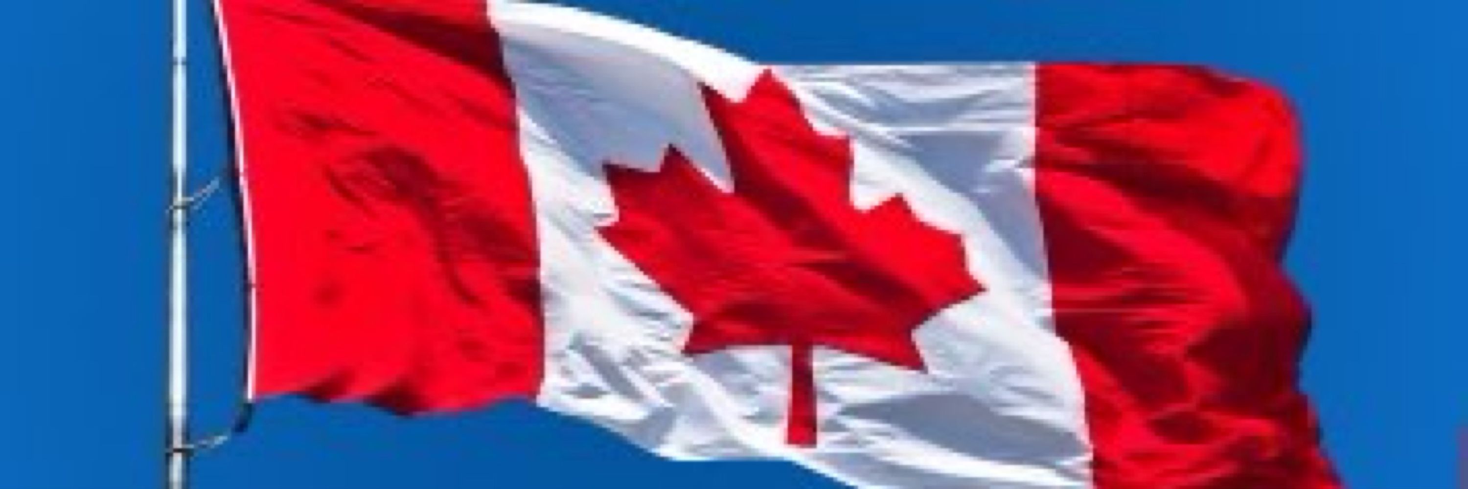 LorettaRyan 🇨🇦🍁