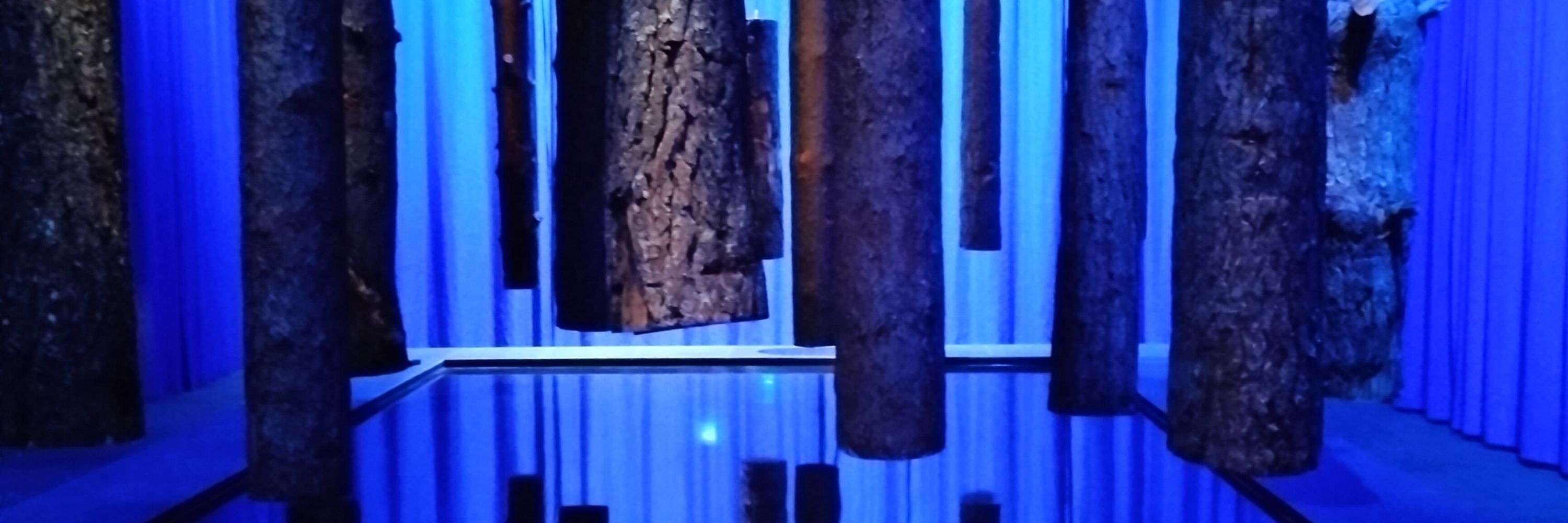 Terhi
