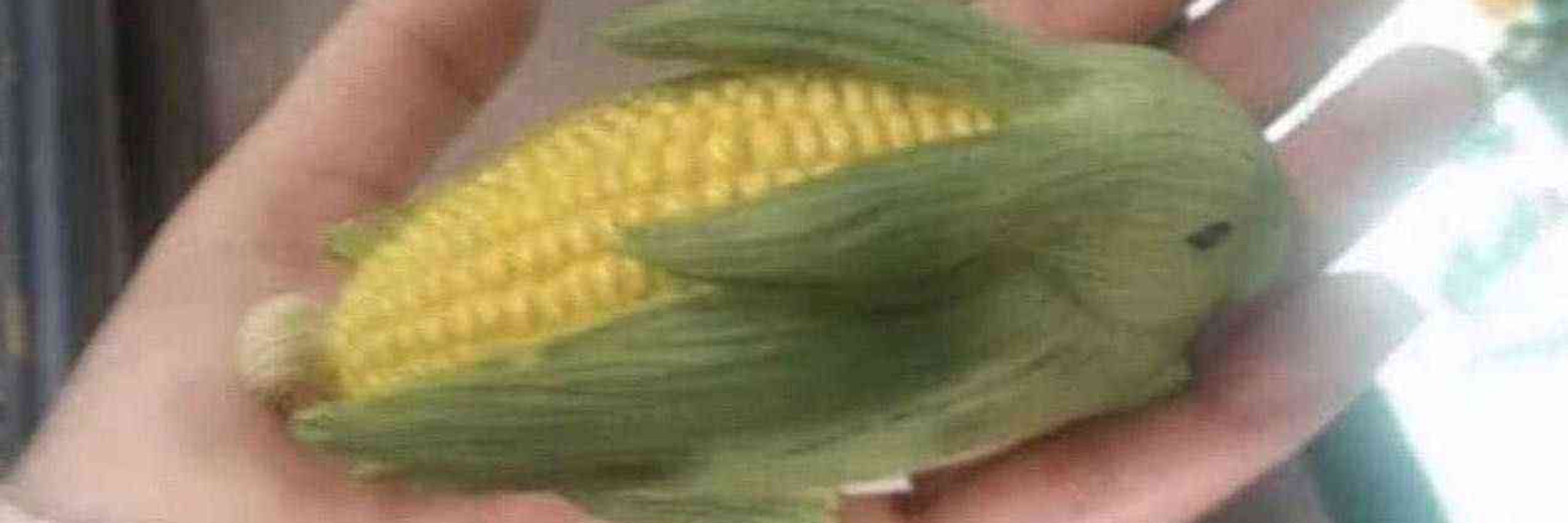 Straw