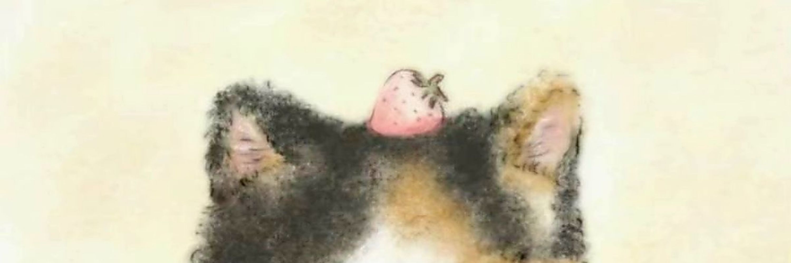 hilberry shortcake 🍓
