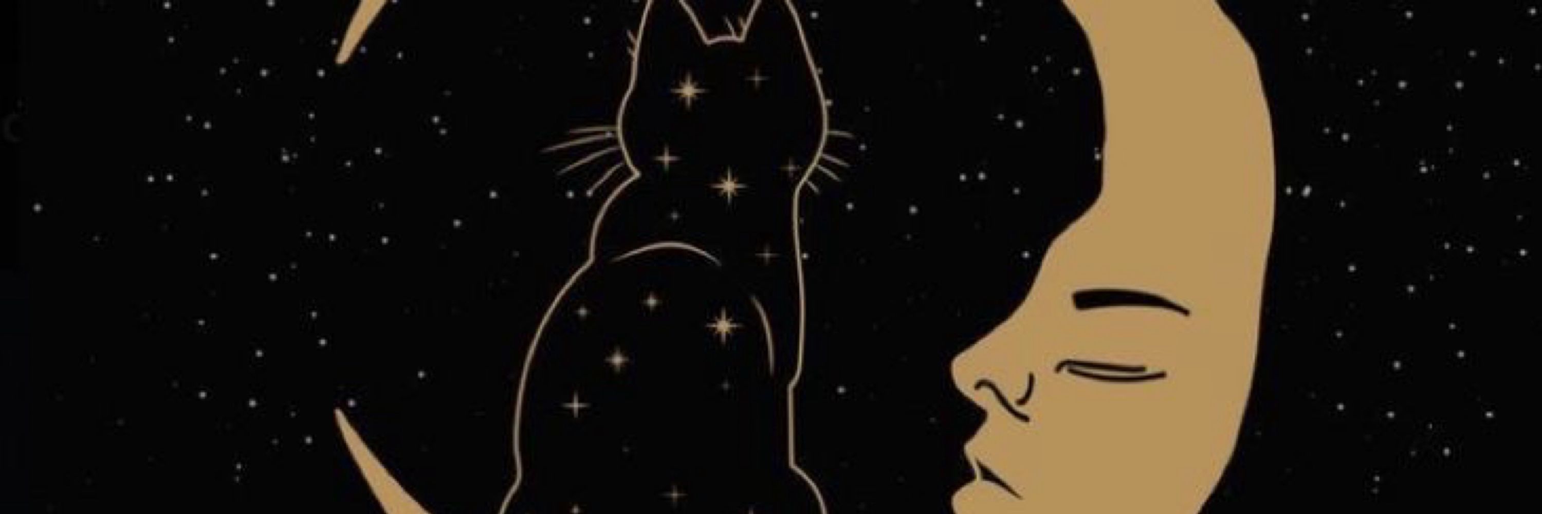 𝕭𝖆𝖇𝖇𝖞𝖘🐈‍⬛
